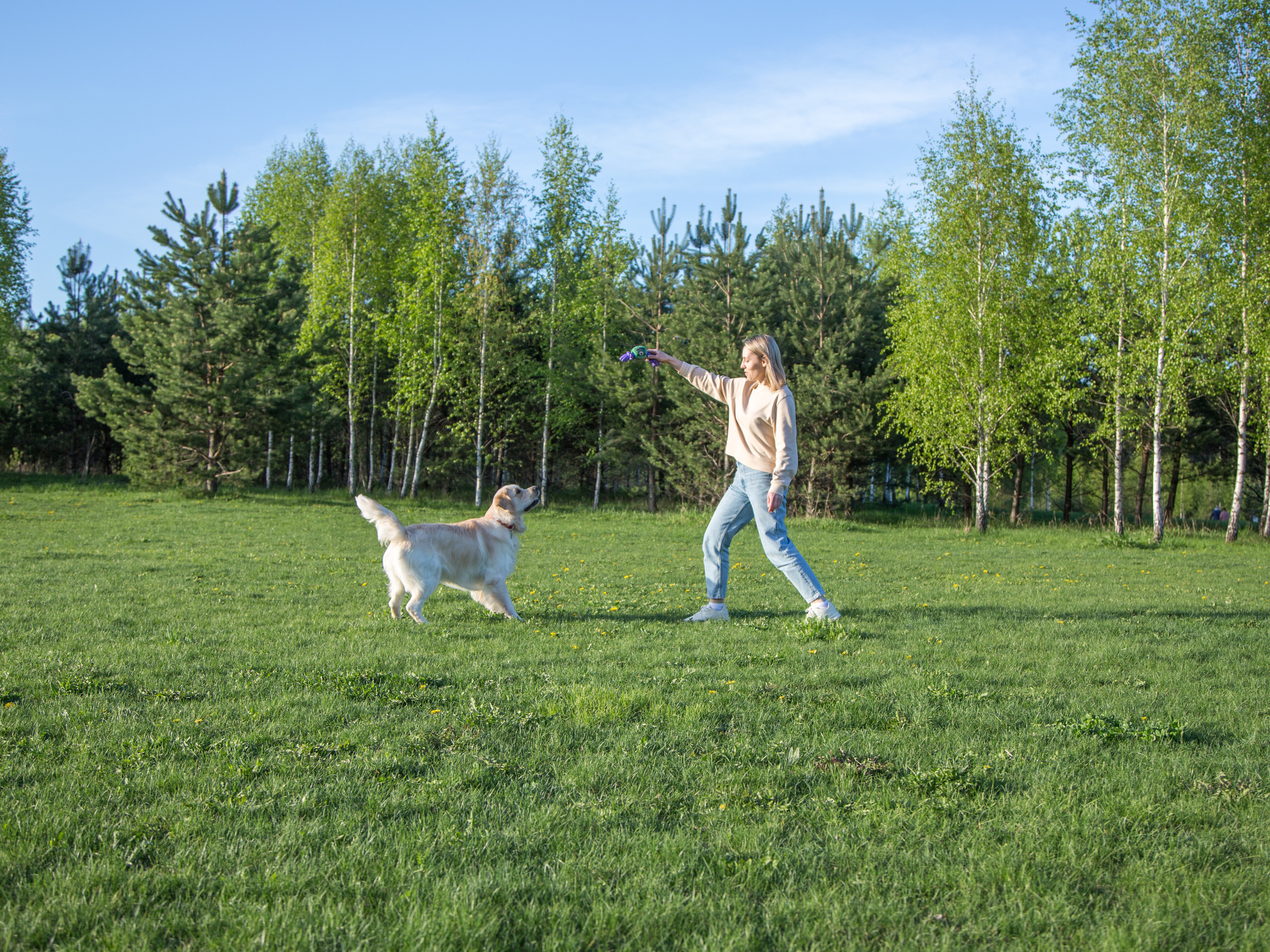 Яна и Энцо. Фотограф Дроздова Анна