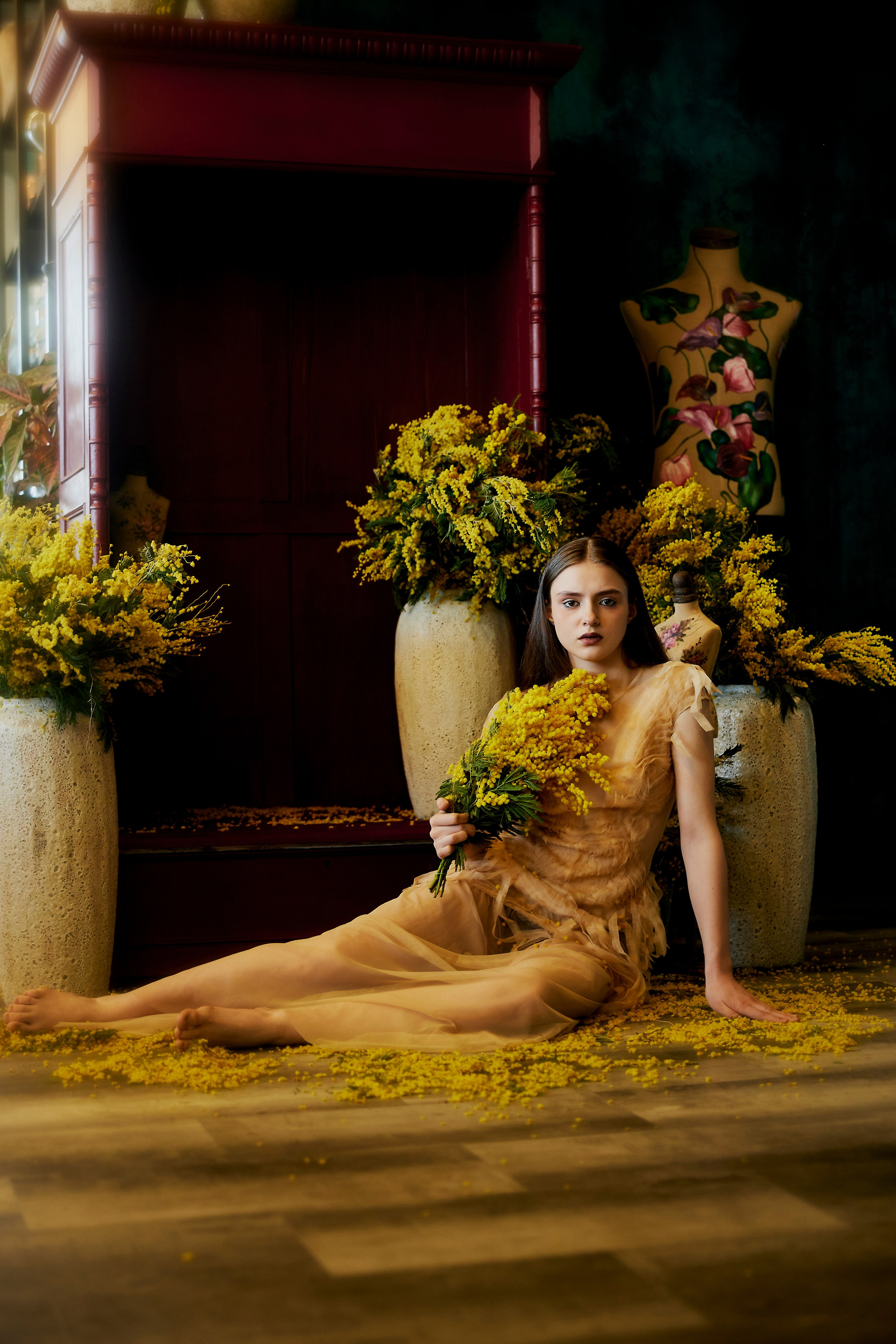 Мимоза. Сергей Ирклиенко