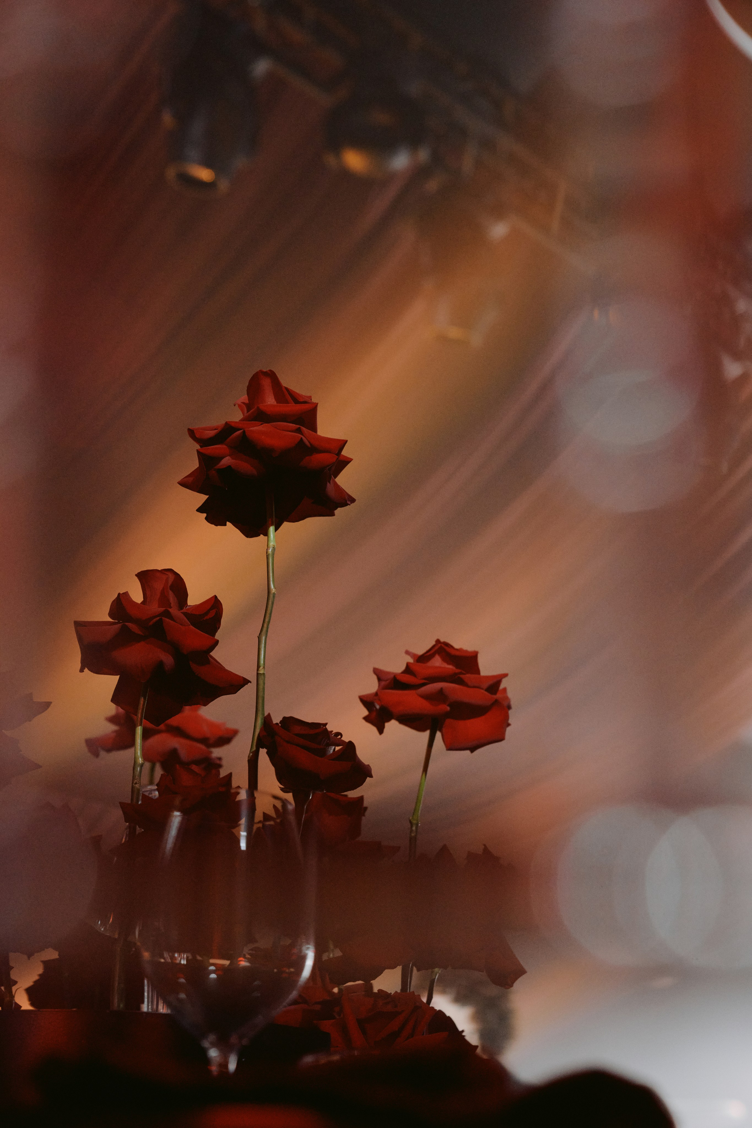 75 лет День Рождения. Свадебный фотограф в Ростовe-на-Дону Анастасия Прутова