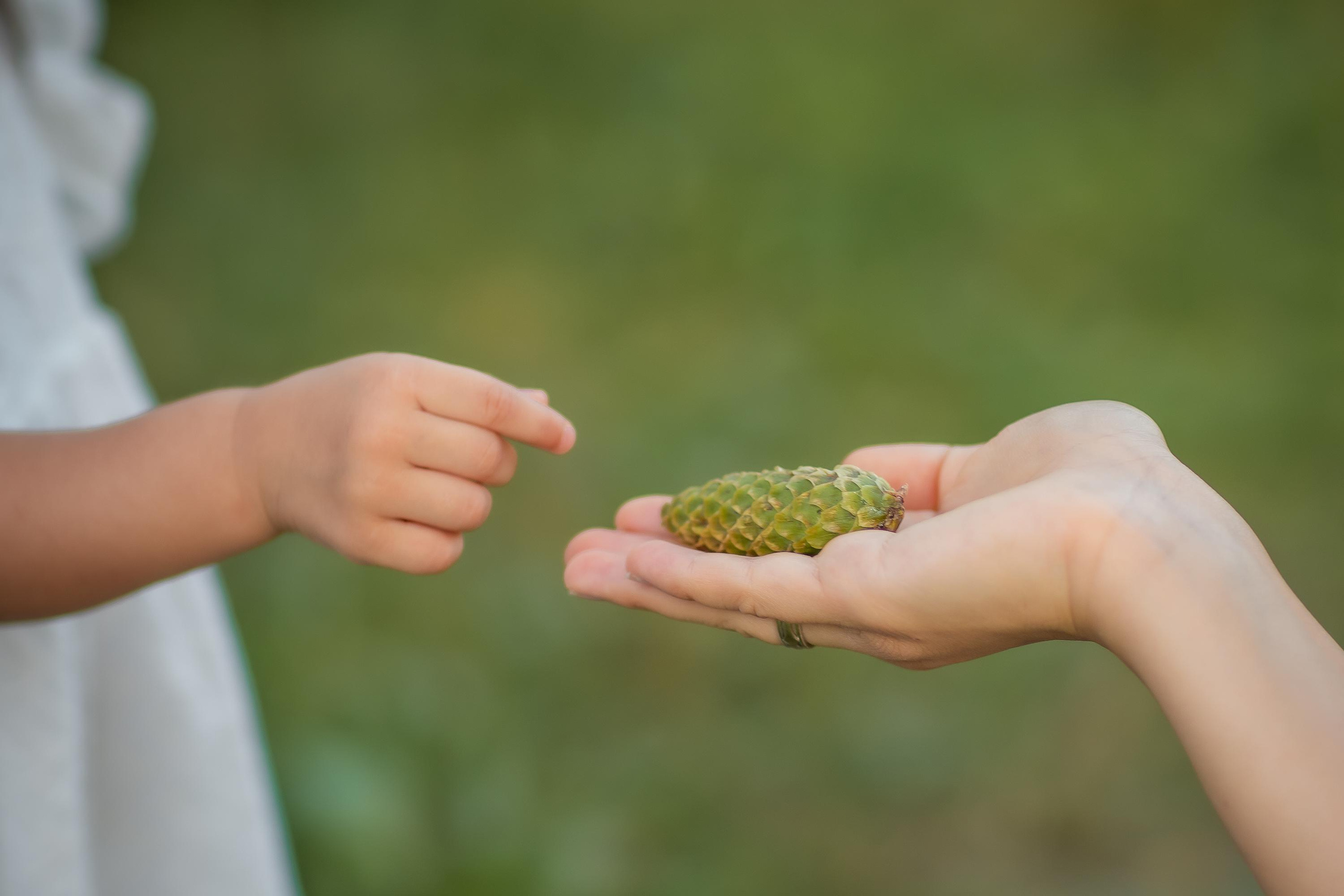 Саира и Амели. Репортажный, семейный, свадебный фотограф Санкт-Петербург Ольга Лесюк
