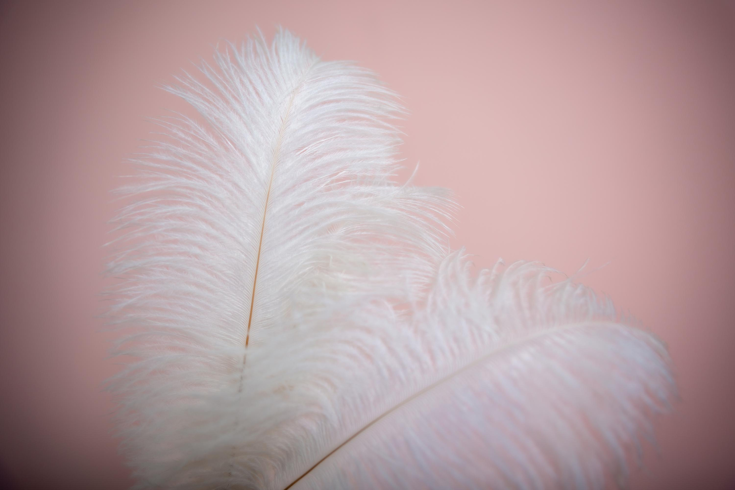 Екатерина — массажист лица. Репортажный, семейный, свадебный фотограф Санкт-Петербург Ольга Лесюк