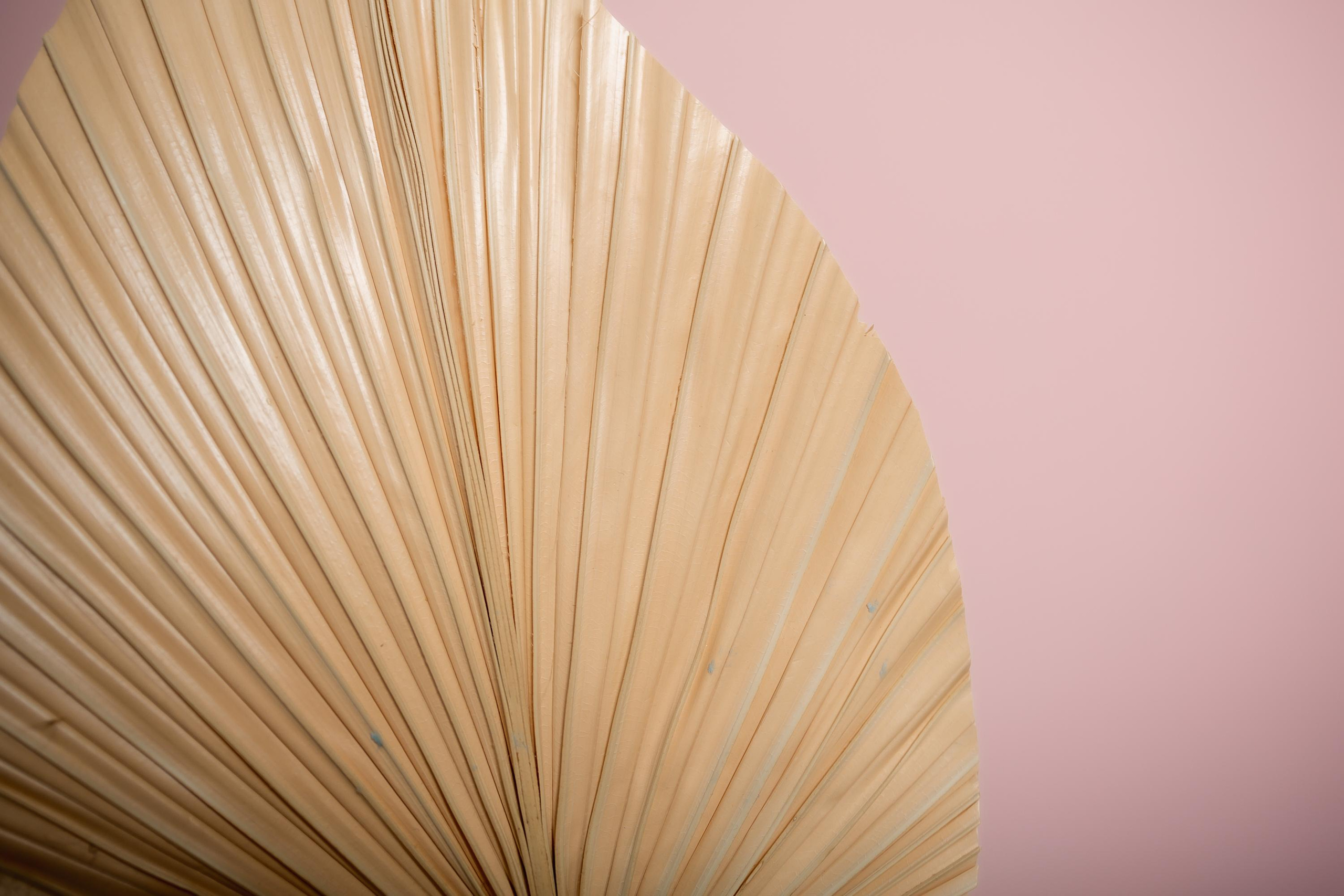 Екатерина — массажист лица. Репортажный, семейный, свадебный фотограф Санкт-Петербург Ольга Лесюк