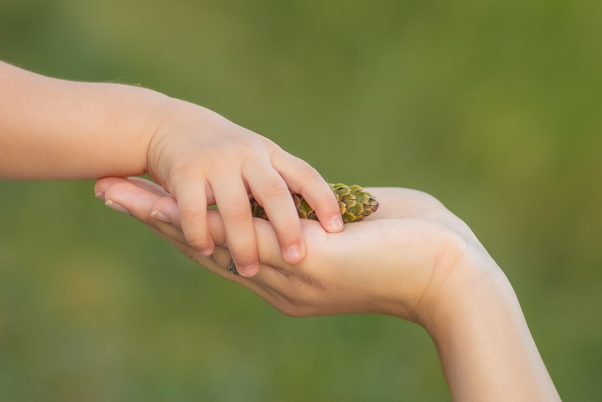 Саира и Амели. Репортажный, семейный, свадебный фотограф Санкт-Петербург Ольга Лесюк