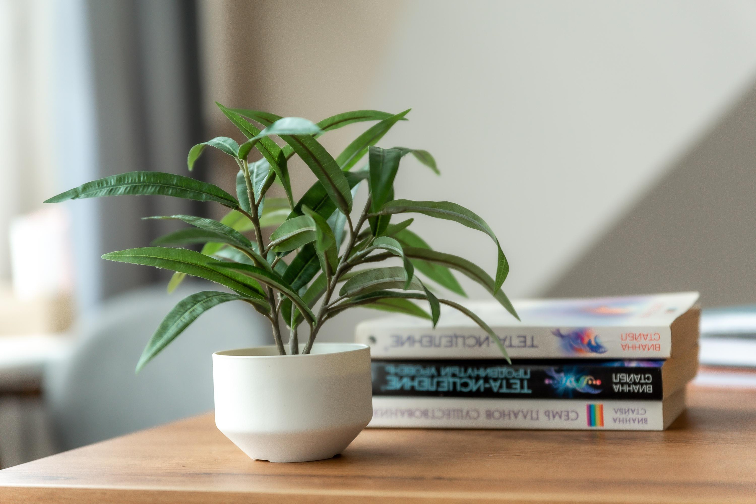 Екатерина — психолог. Репортажный, семейный, свадебный фотограф Санкт-Петербург Ольга Лесюк