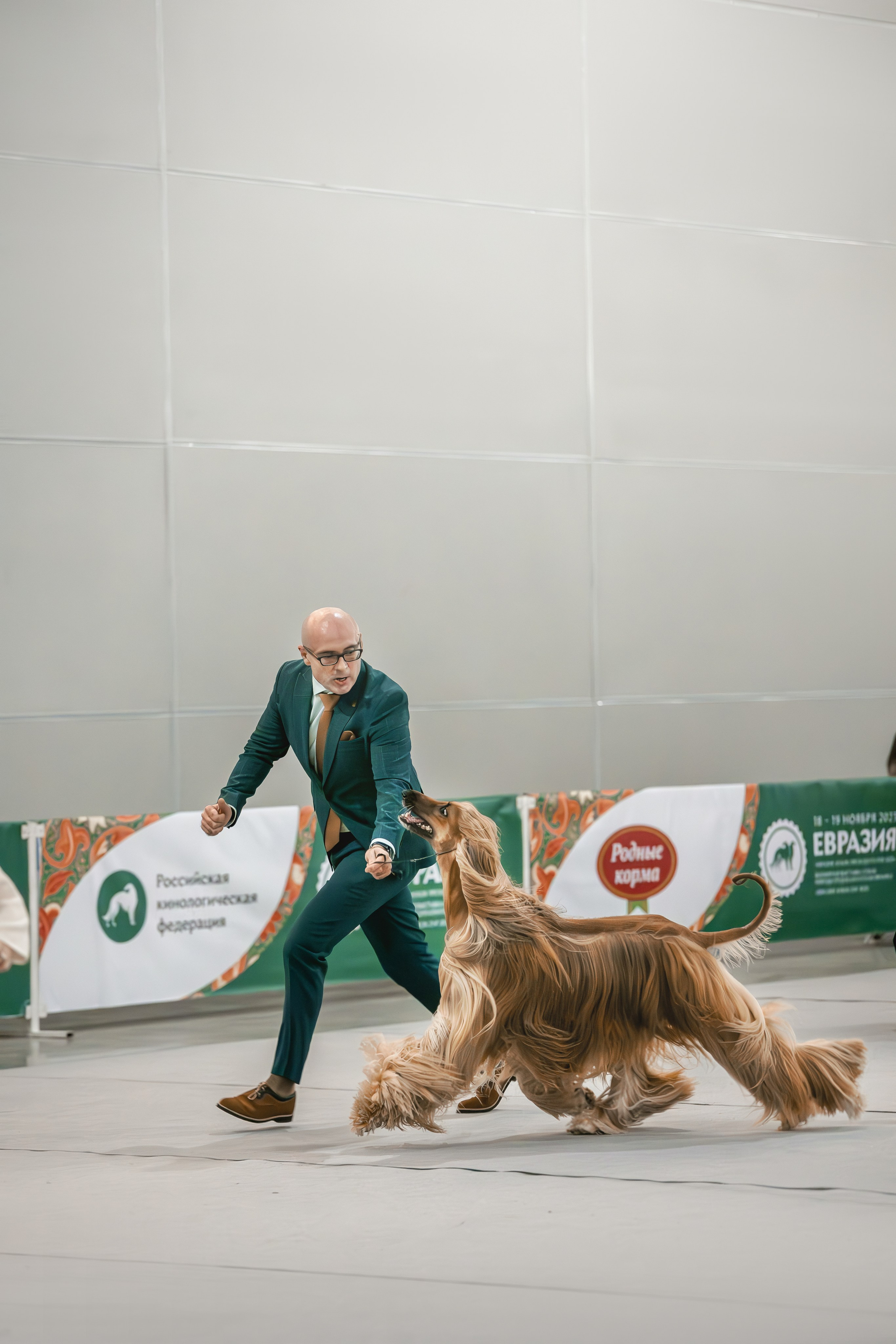 Выставки. Фотограф анималист в Москве Майорова Евгения