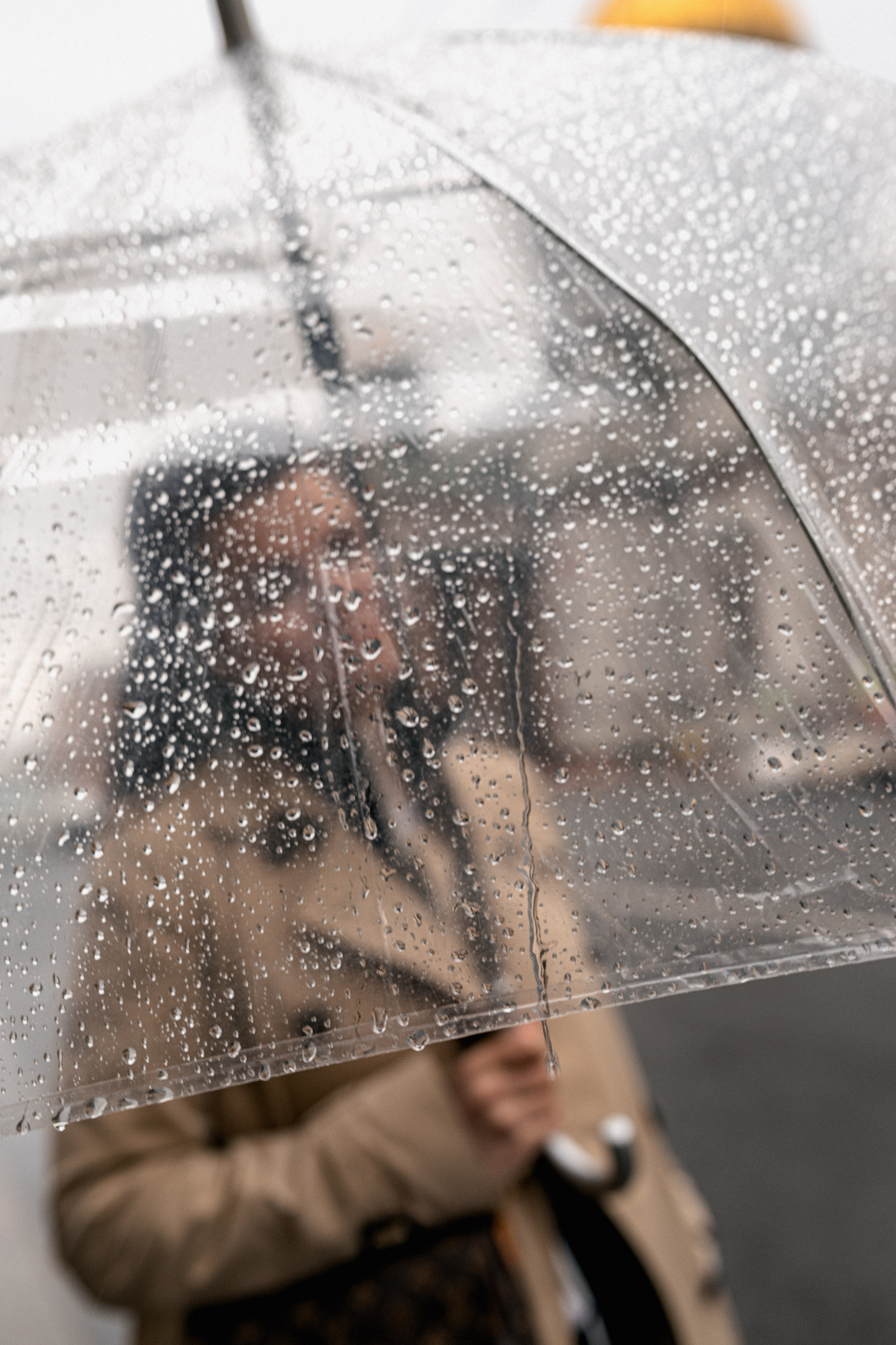 Прогулка. Катерина Растокина фотограф в Санкт-Петербурге