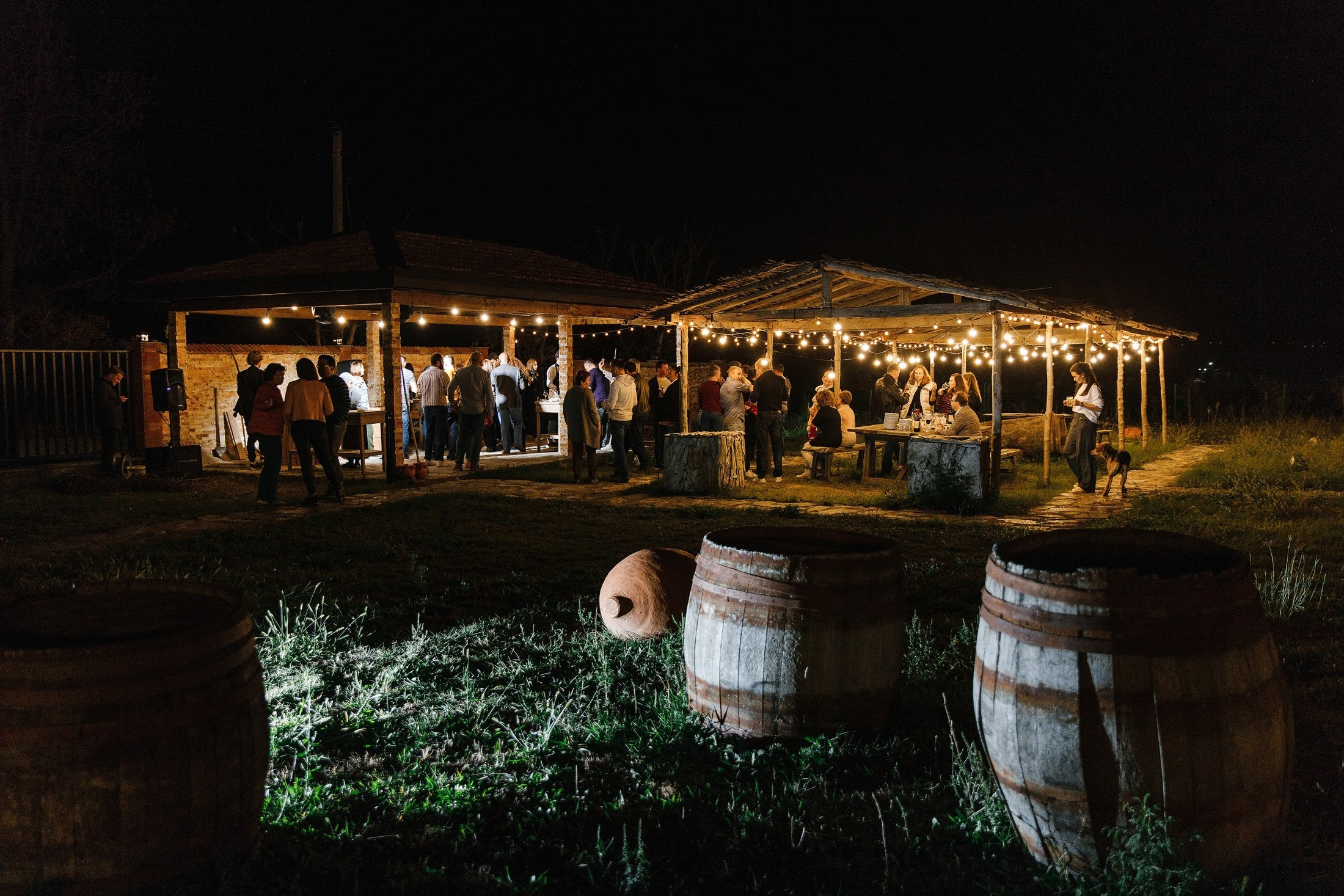Максим и Алена. Свадебный фотограф в Москве и МО Александр Ласковенков