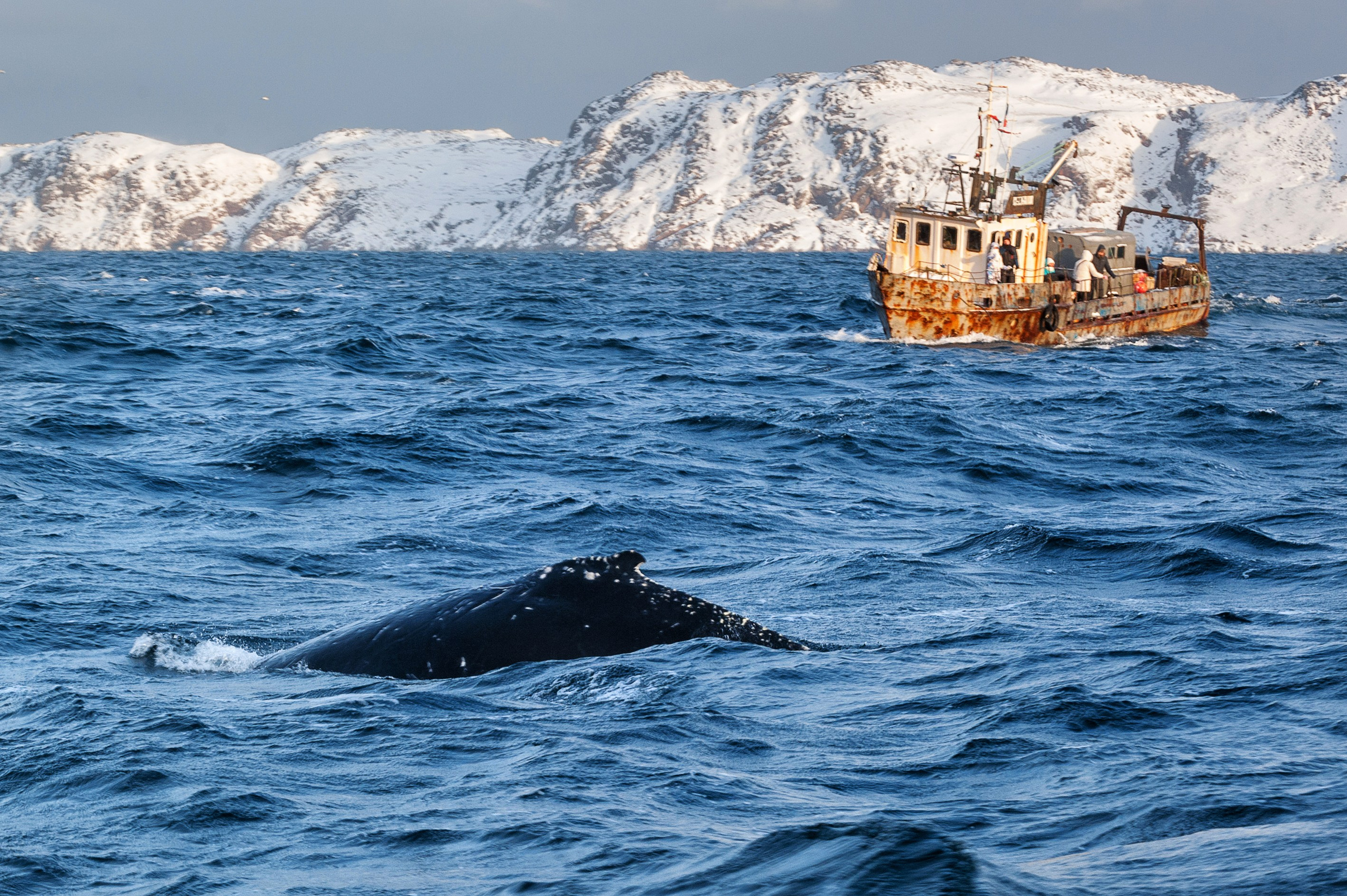 Путешествия. Спортивный фотограф в Ростовской области Анжела Гринченкова