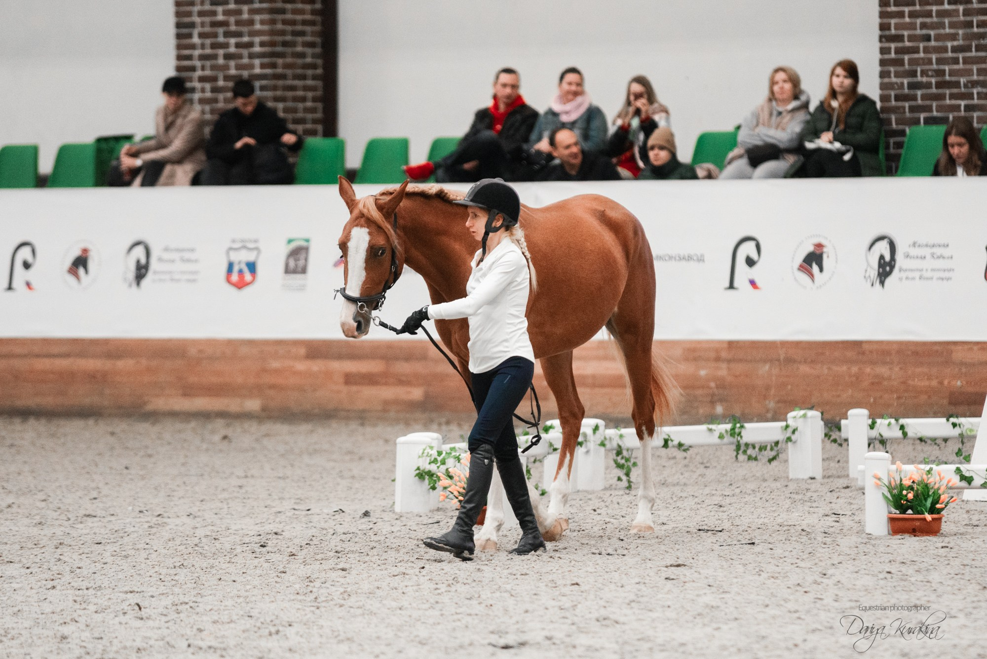 8-я международная выставка Конная Россия. Конный фотограф Куракина Дарья • Фотосессии с лошадьми
