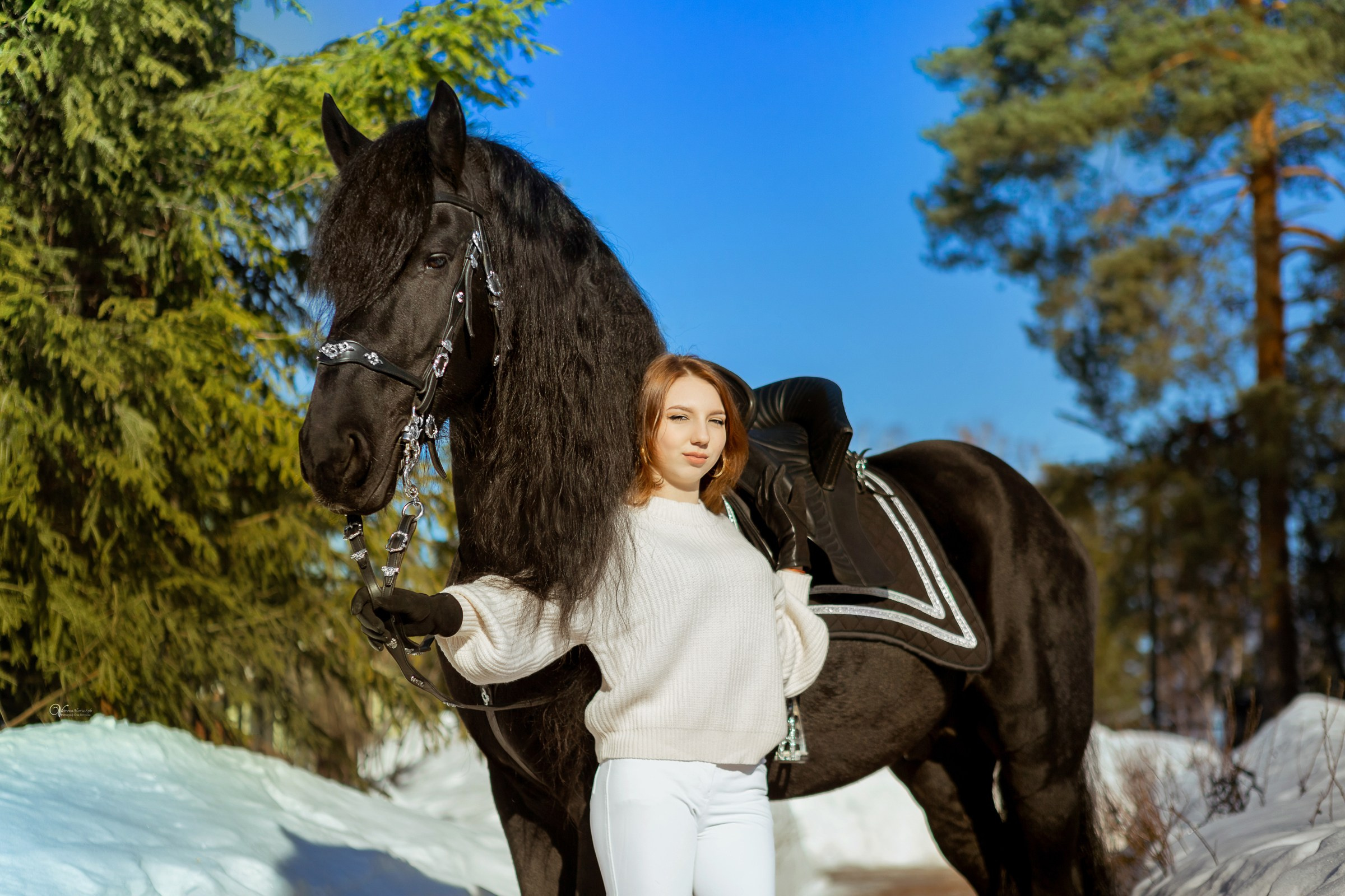 Фотосессии с лошадьми зимой. Фотограф женский и мужской портрет Санкт-Петербург