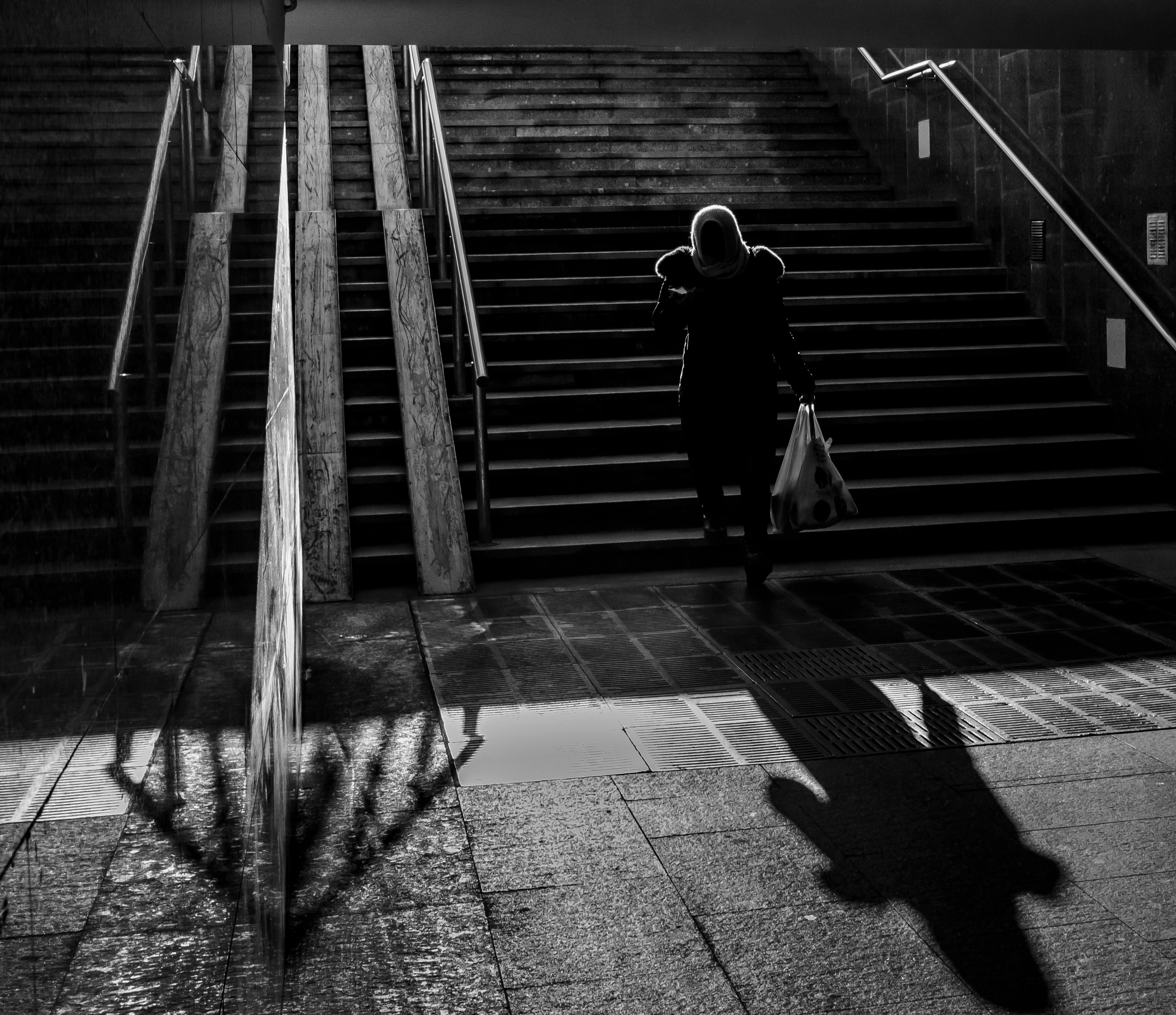 PHOTO GALLERY. DOP Yulia Popova