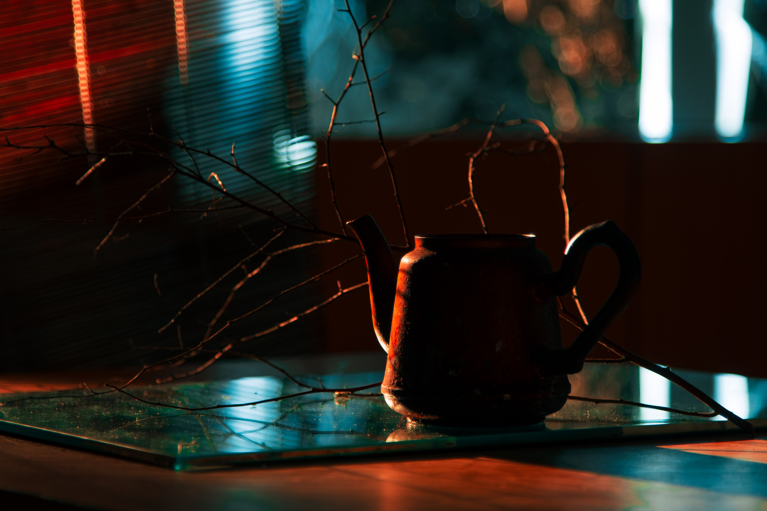 PHOTO GALLERY. DOP Yulia Popova