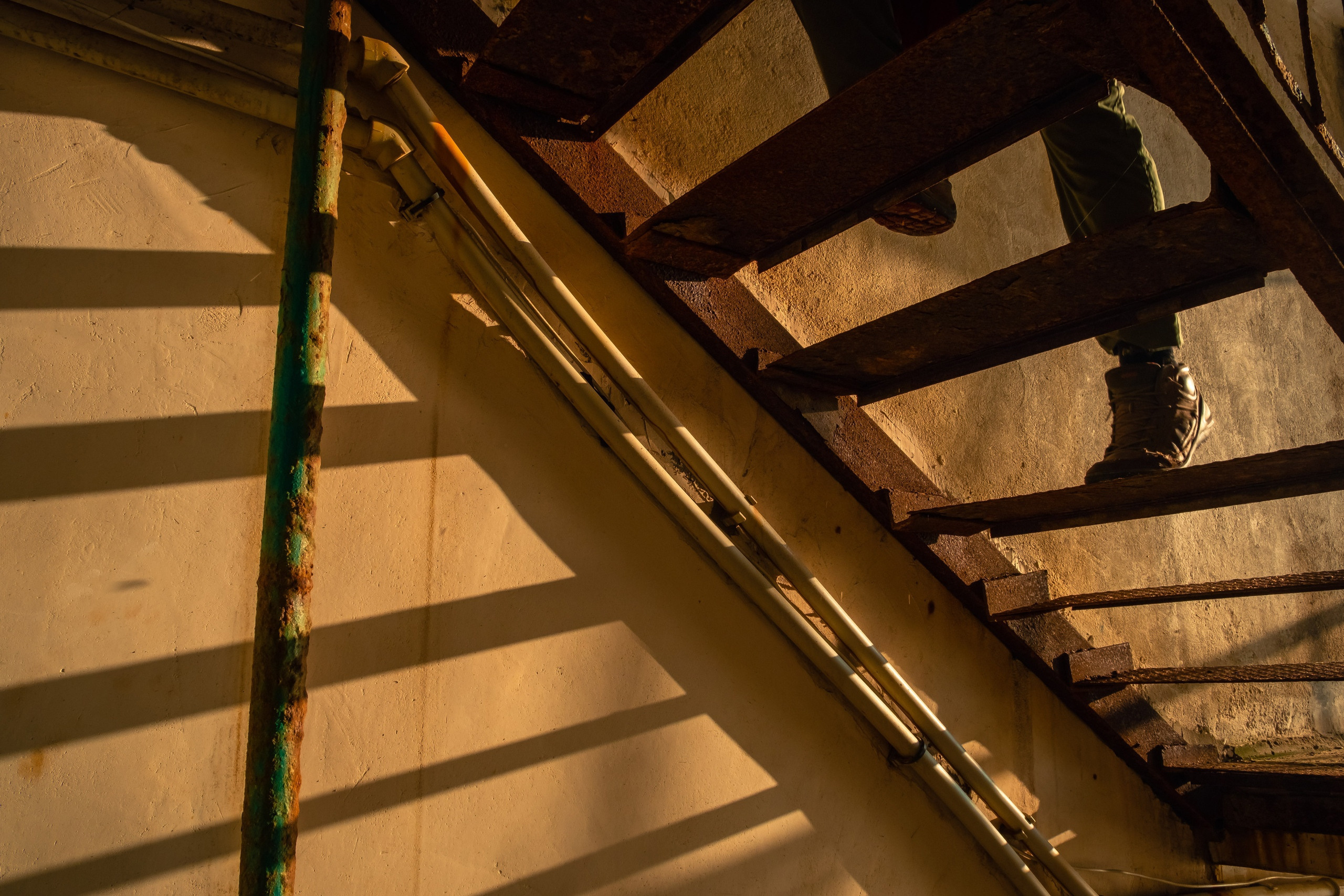 PHOTO GALLERY. DOP Yulia Popova