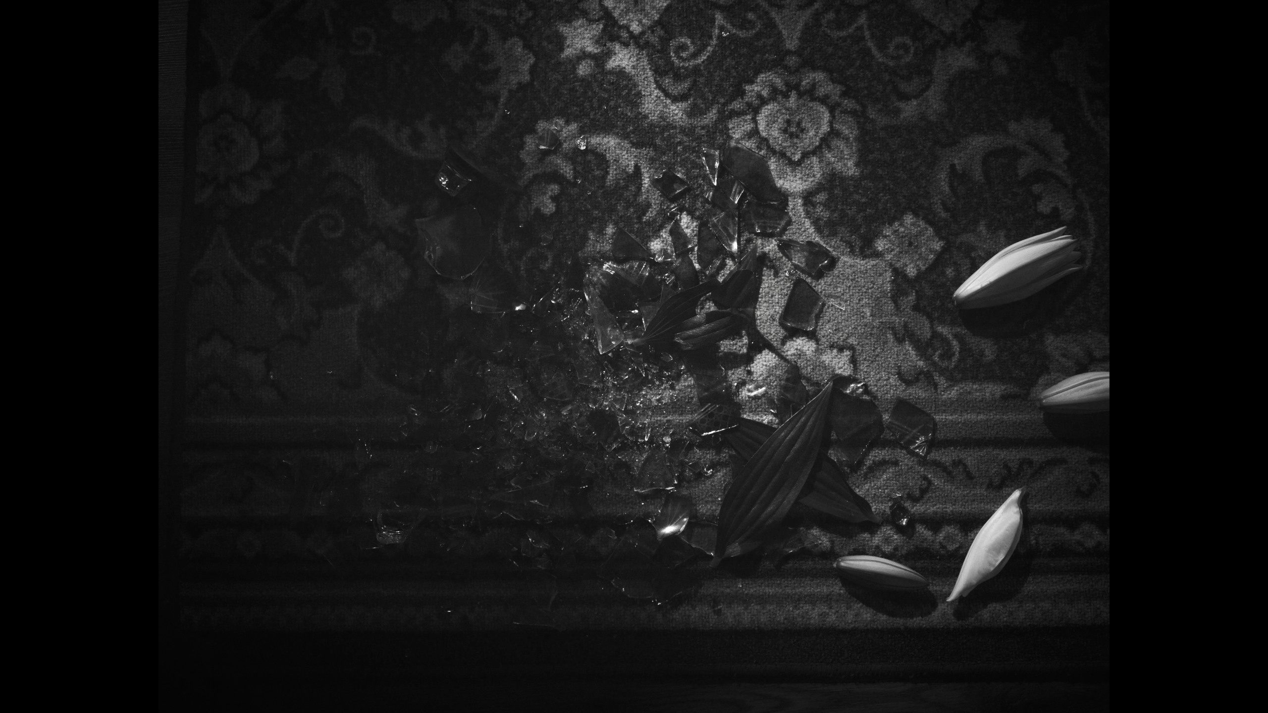 YOUNG MAN M / МОЛОДОЙ ЧЕЛОВЕК М. DOP Yulia Popova