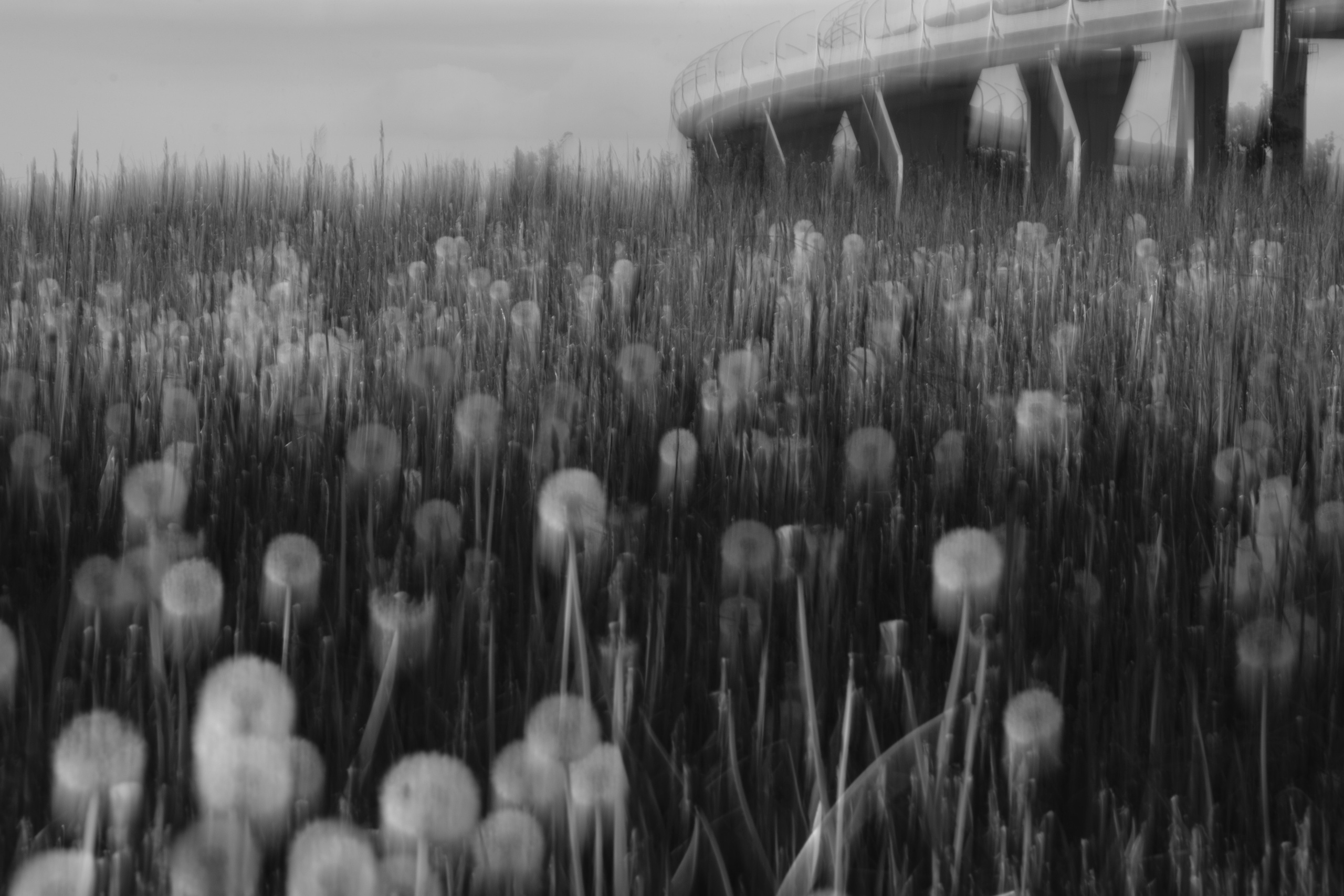 PHOTO GALLERY. DOP Yulia Popova