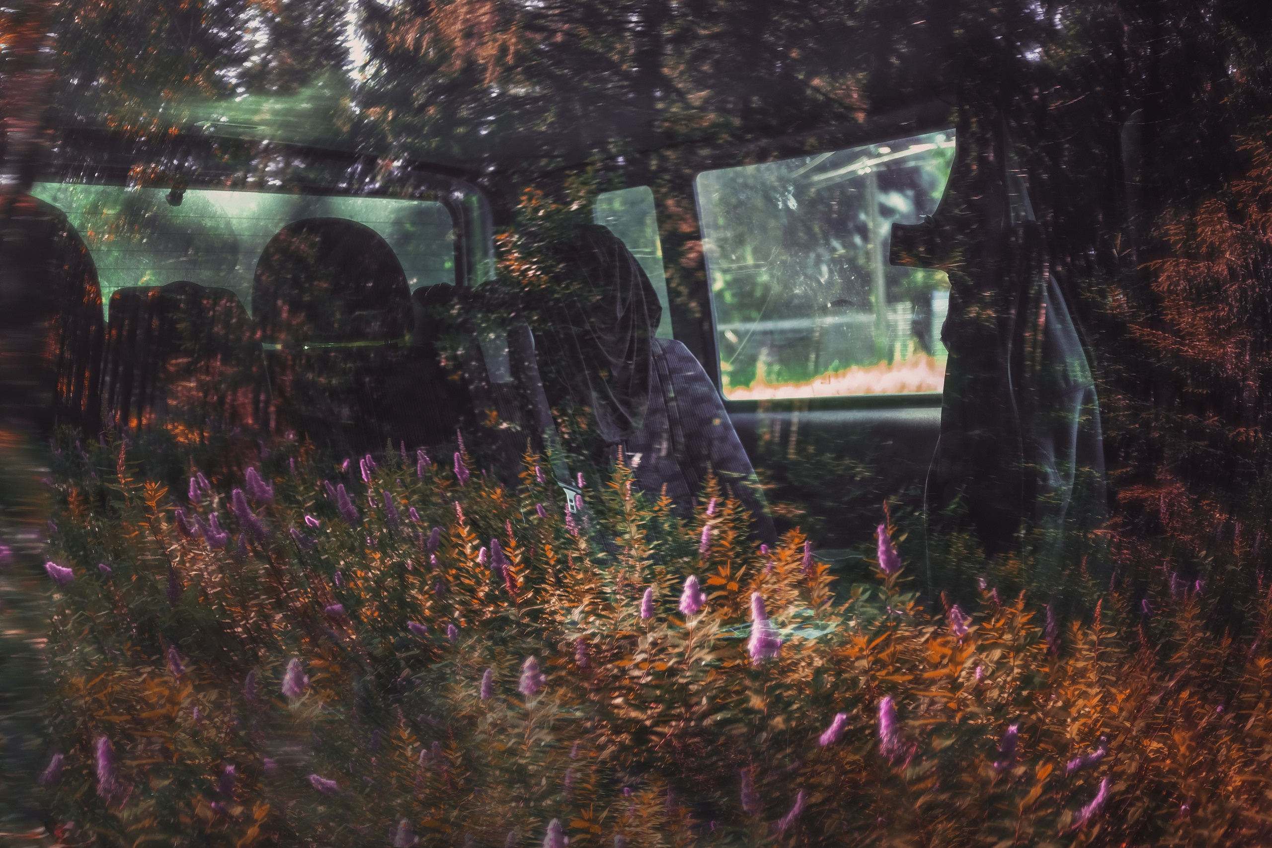 PHOTO GALLERY. DOP Yulia Popova