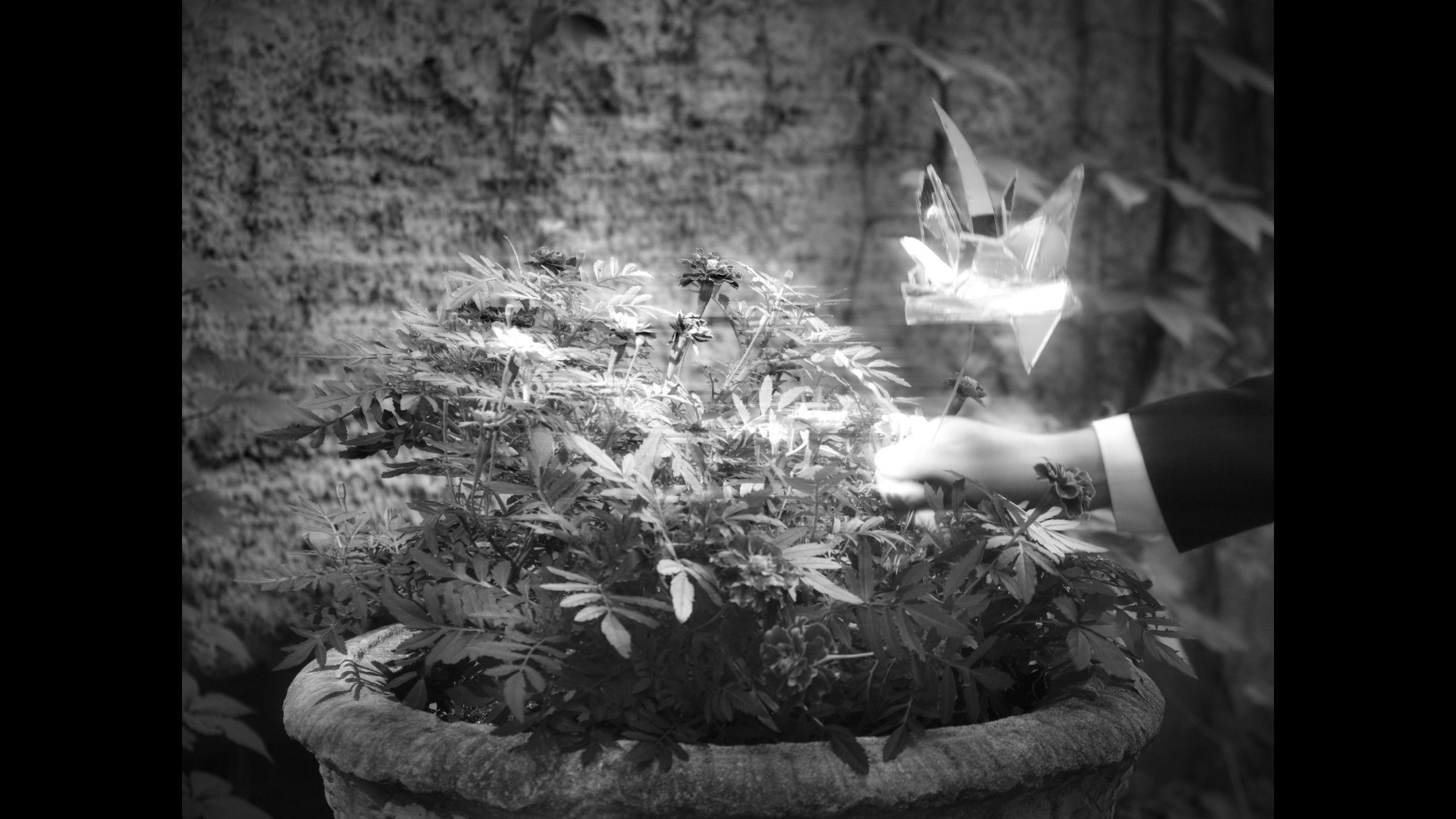 YOUNG MAN M / МОЛОДОЙ ЧЕЛОВЕК М. DOP Yulia Popova