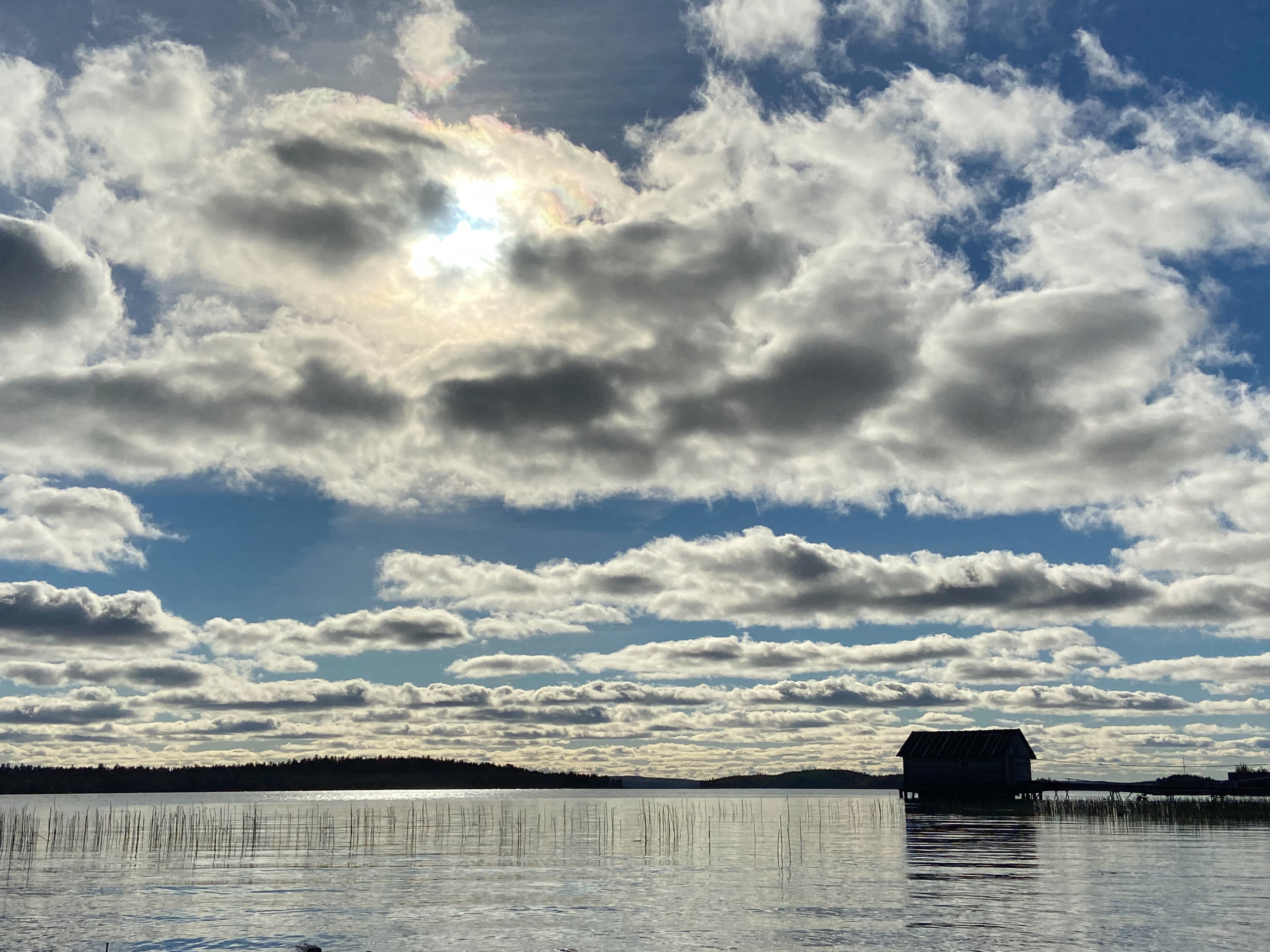 PHOTO GALLERY. DOP Yulia Popova