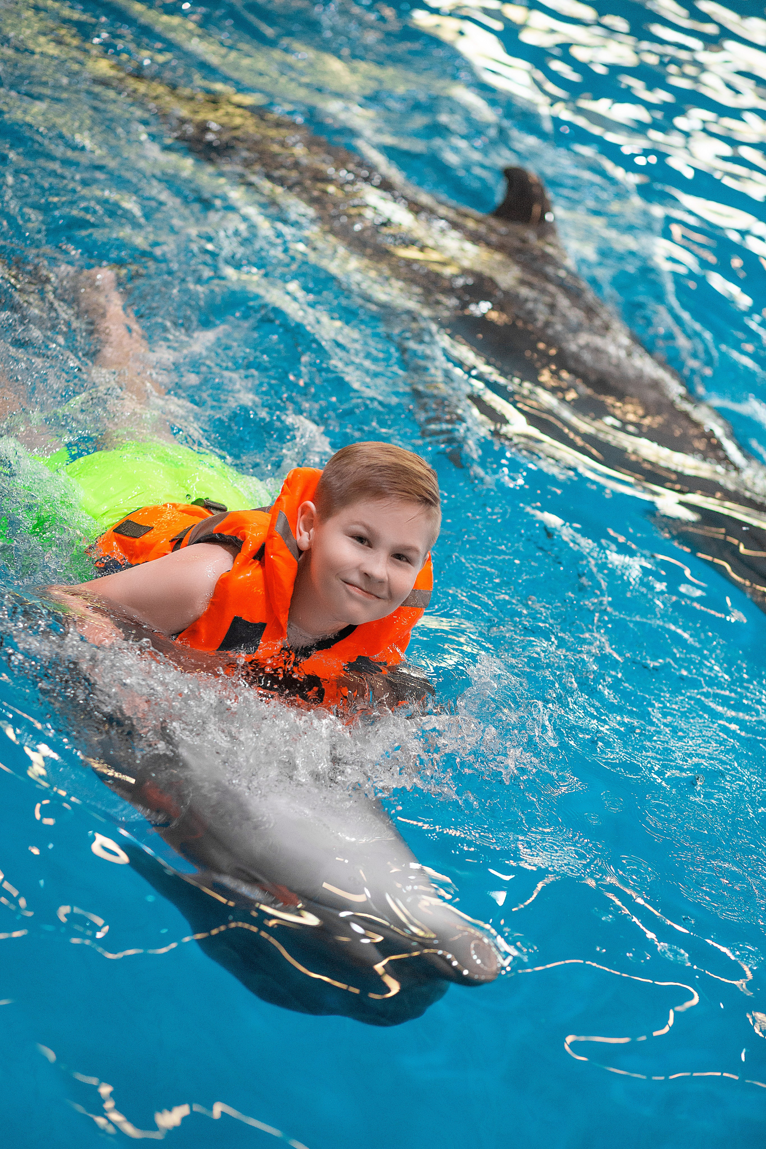 Дима и дельфины. Фотосессия с лошадьми в Нижнем Новгороде