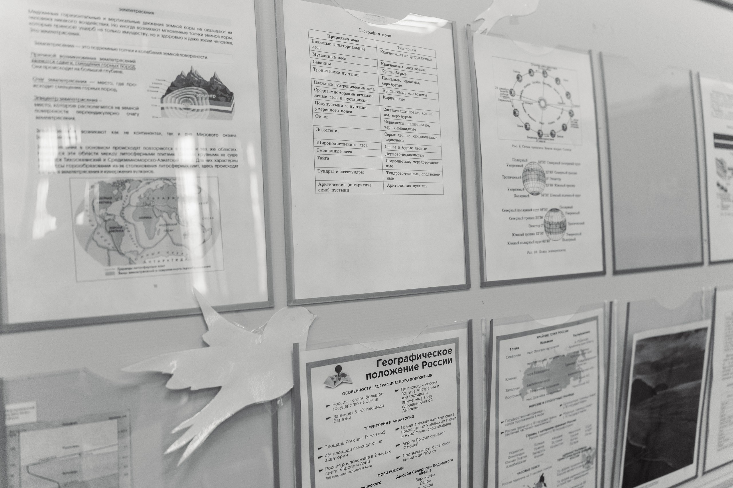 Пятёрка для ребёнка. Репортажная съёмка в Санкт-Петербурге, Константин Петров