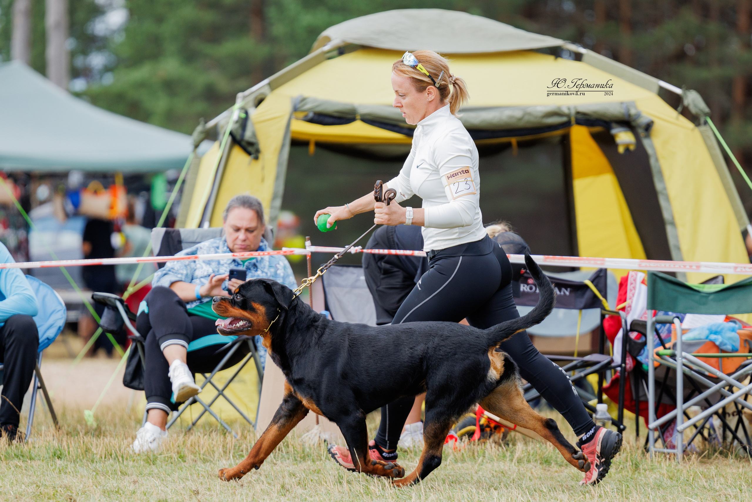 ПК и КЧК ротвейлеры Тверь 6-7.07.2024. Фотограф-анималист Юлия Германика