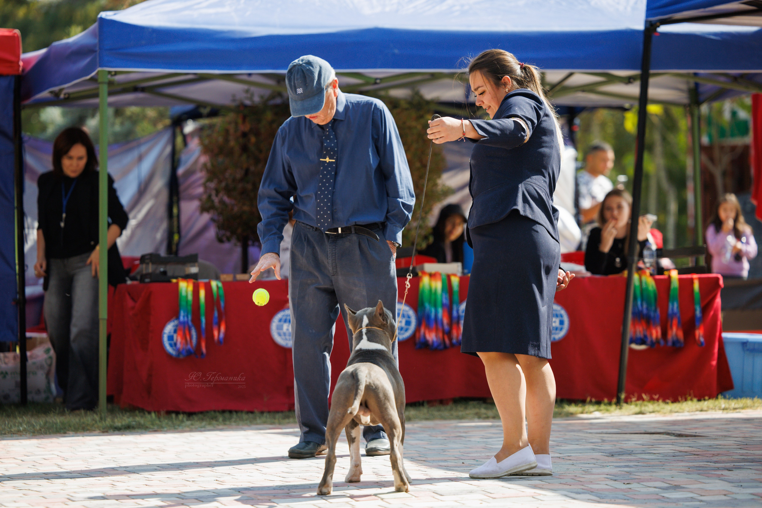 Ташкент 3хCACIB 3-5.10.2025. Фотограф-анималист Юлия Германика