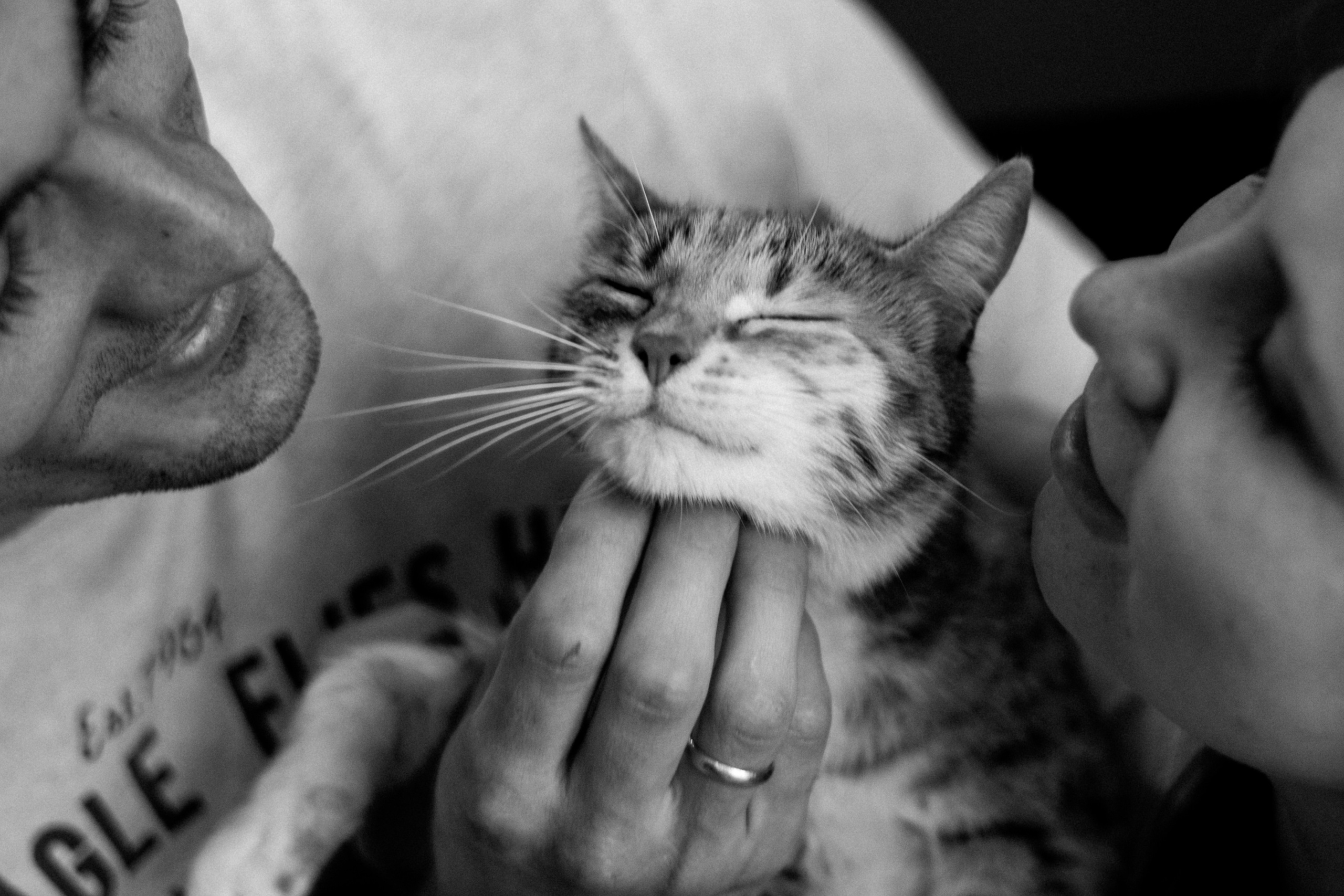 Домашняя. Семейный фотограф в Санкт-Петербурге Александра Дункель