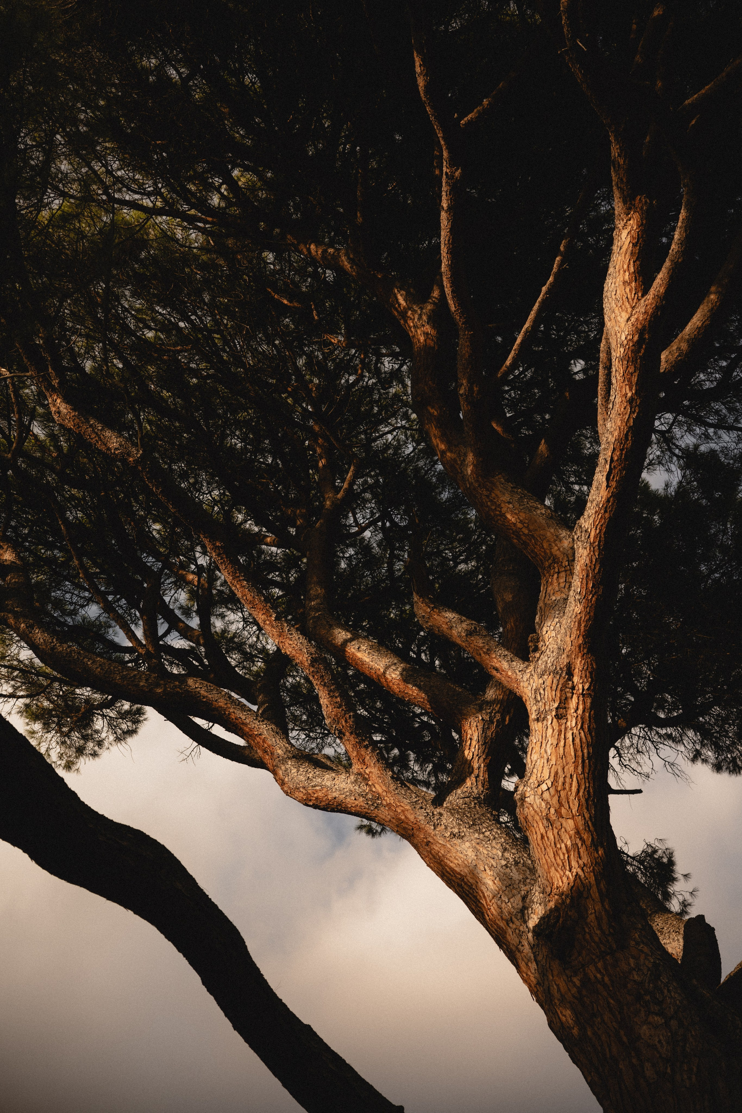 Свадебная фотосессия Крым. Свадебный и семейный фотограф и видеограф, Крым, Москва, Санкт -Петербург