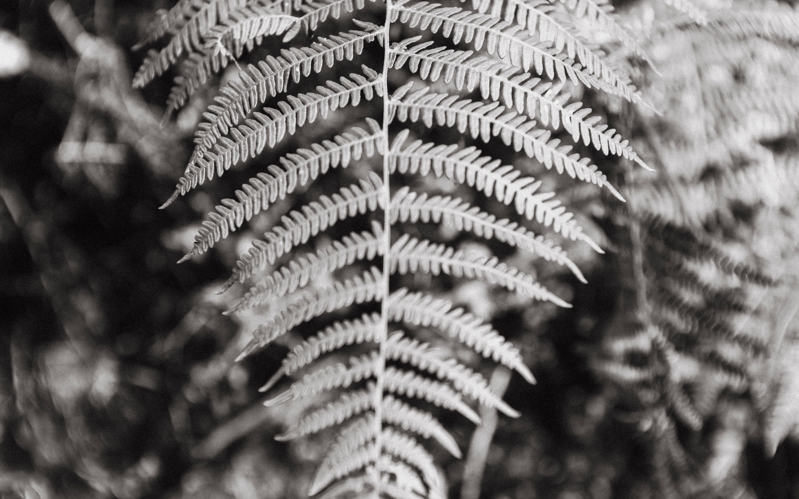Пейзажи. Фотограф Димитровград Казань Валерия Владимиркина