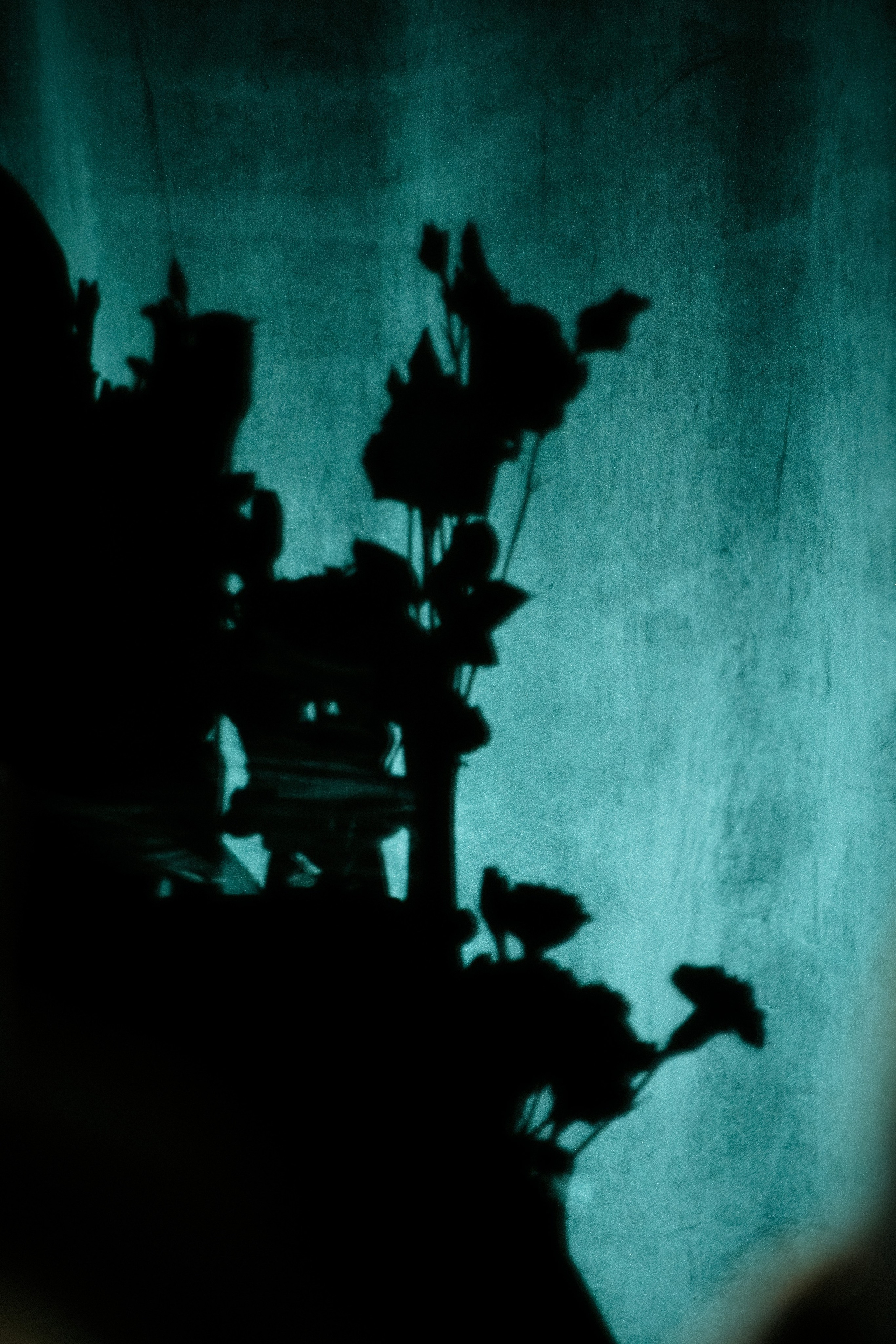 Валентин и Катерина | 12.09.25