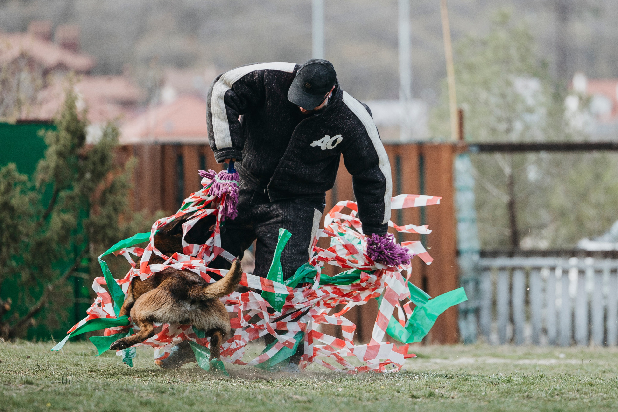 Геленджик Мондьоринг. Фотограф-анималист Анна Маринич