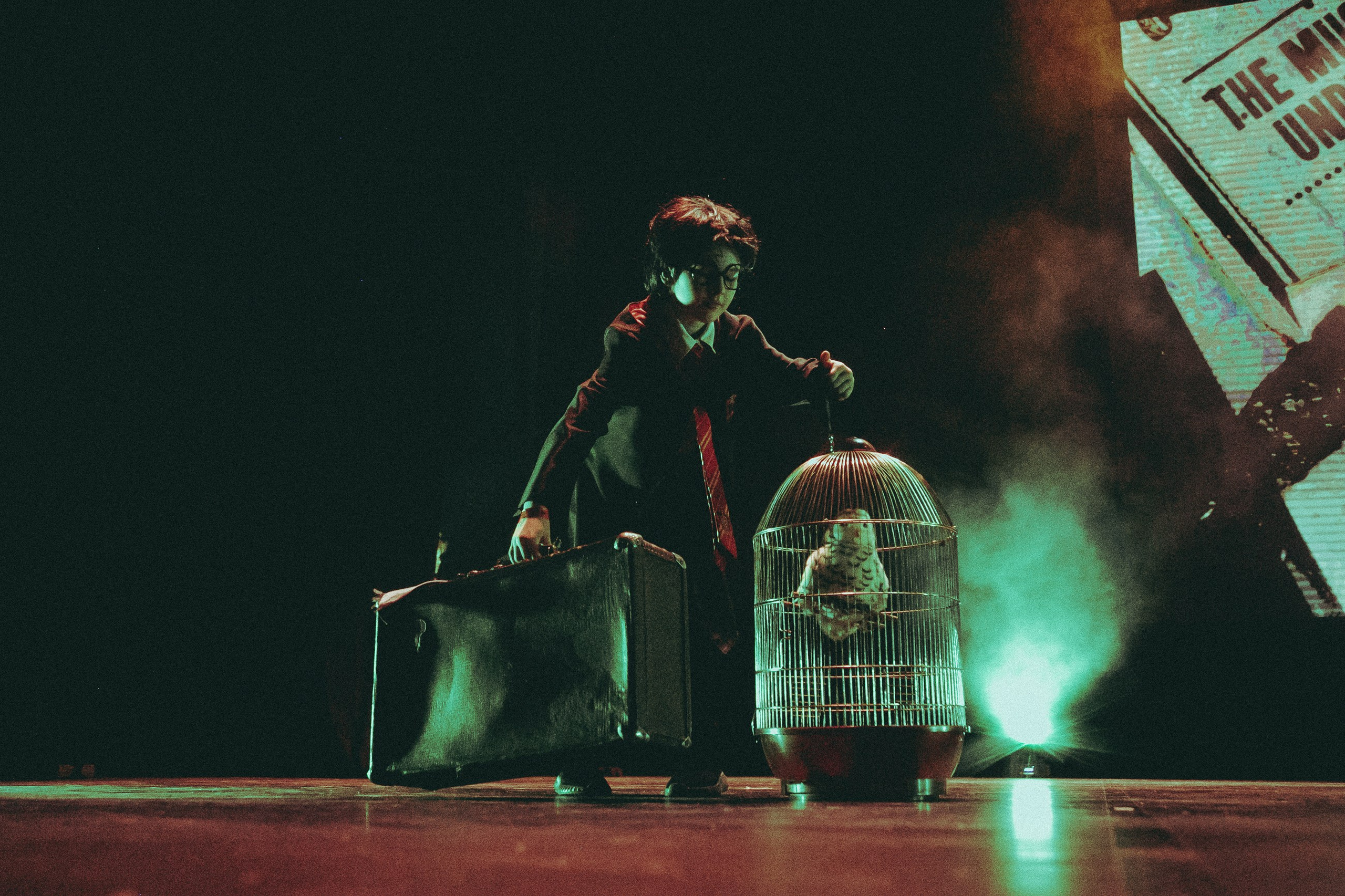 ART OPEN DANCE COMPETITION. Юлия Кулиш // Pocahontas