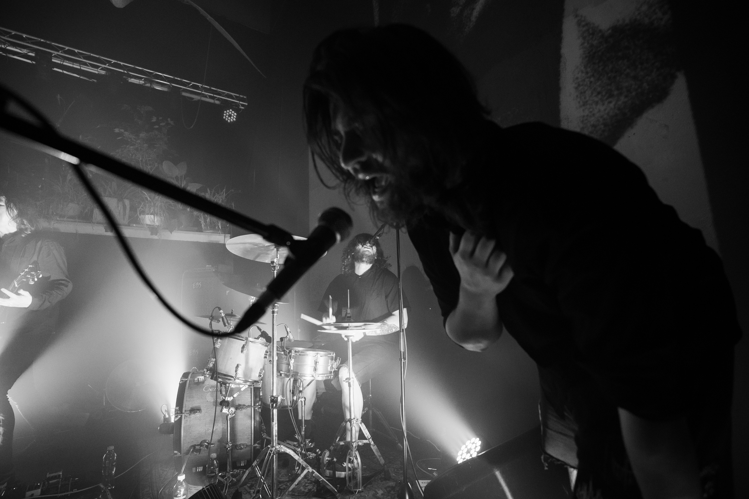 Шторм|Ласточка. Концертный и репортажный фотограф в Санкт-Петербурге Слава Пахомов