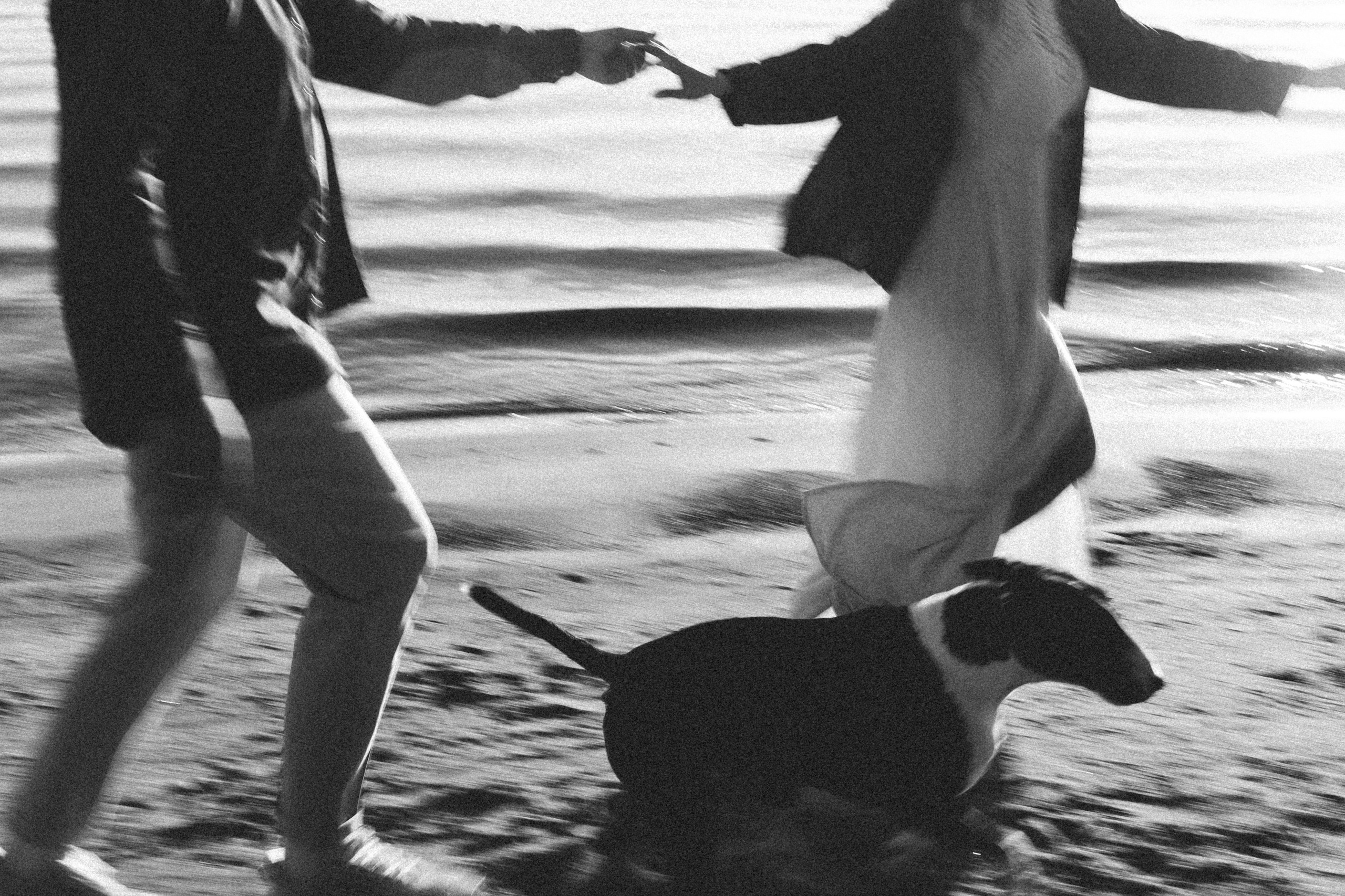 Вета, Дима и Локи. Фотограф в Санкт-Петербурге