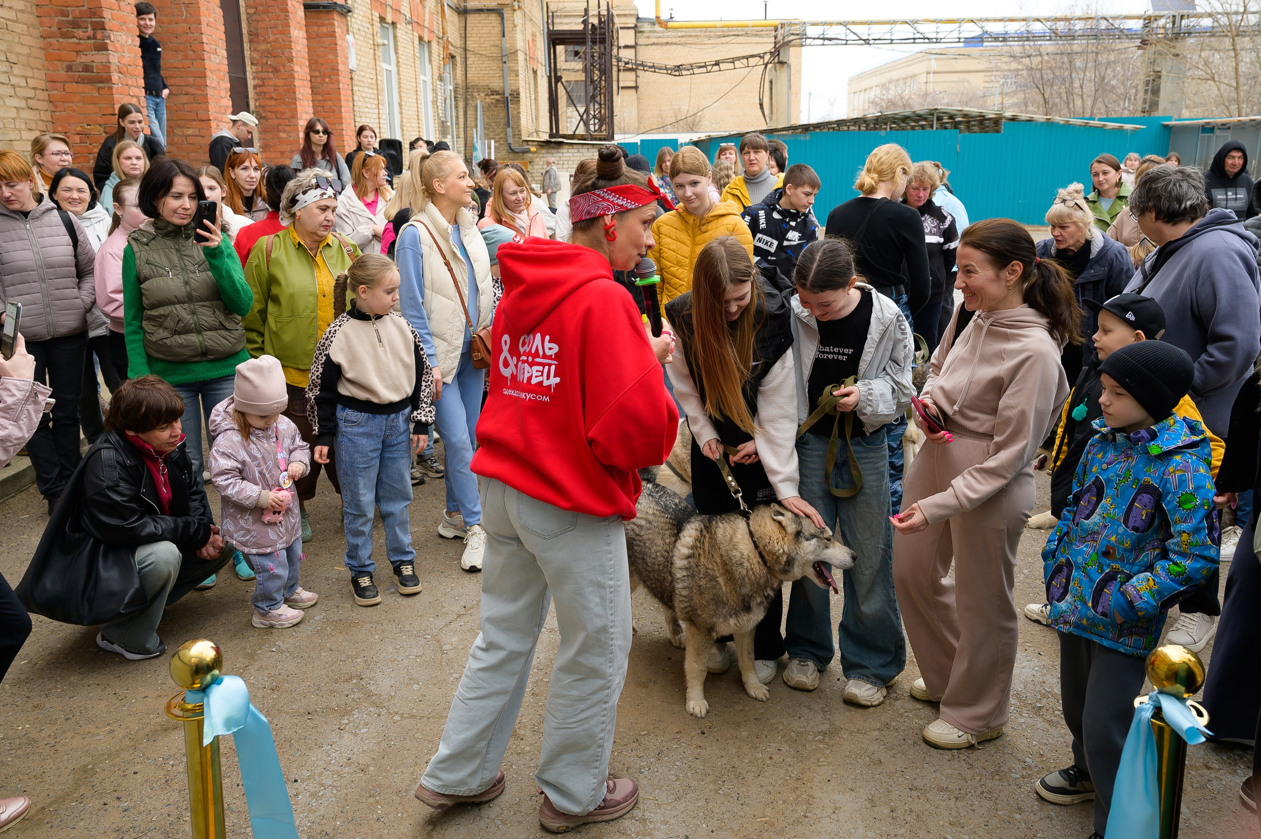 Открытие приюта для собак породы Хаски «Хаски дом»