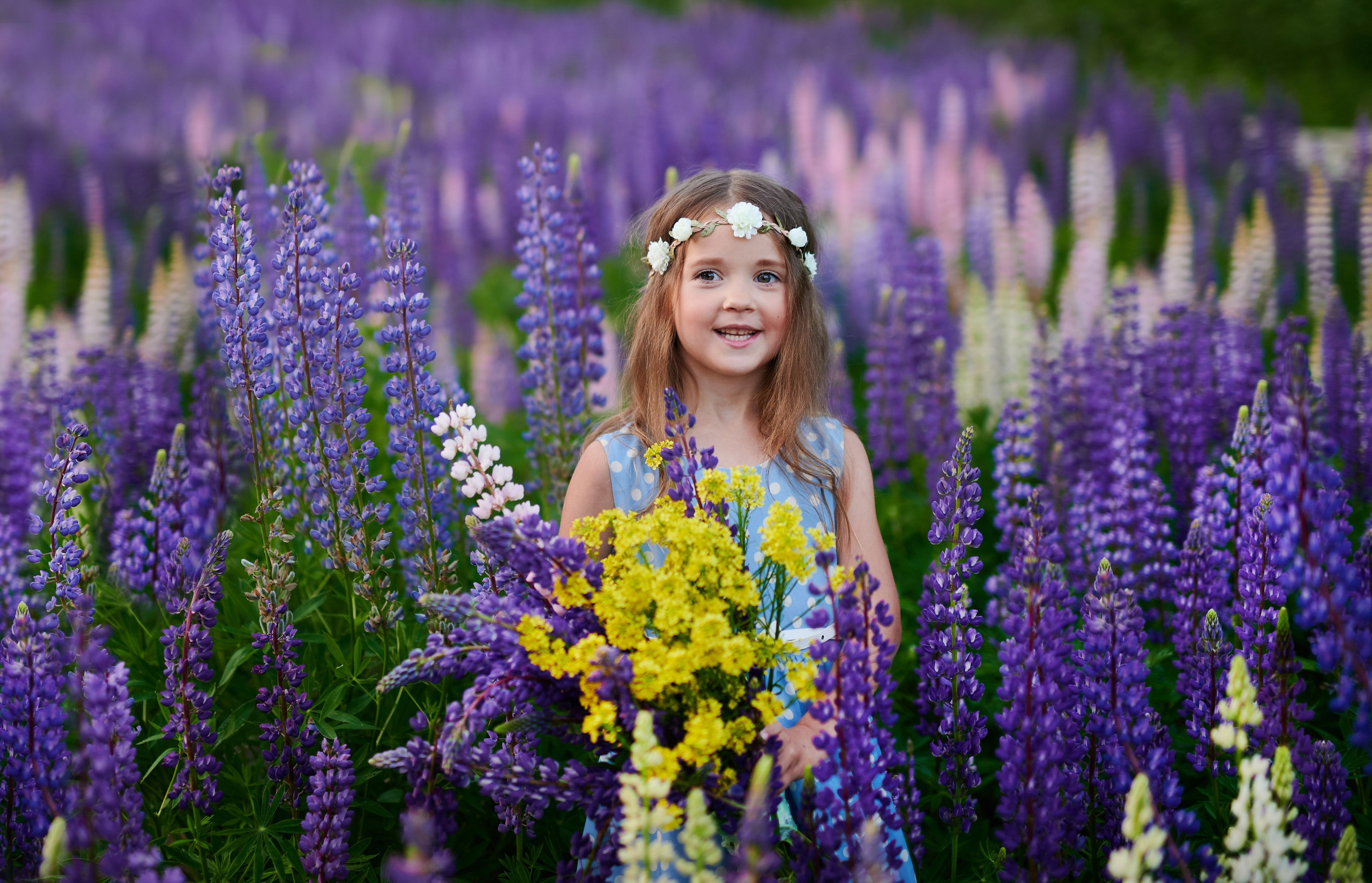 Счастье в люпинах. Портретный, семейный и свадебный фотограф в Санкт-Петербурге и в Пушкине Ширяев Денис