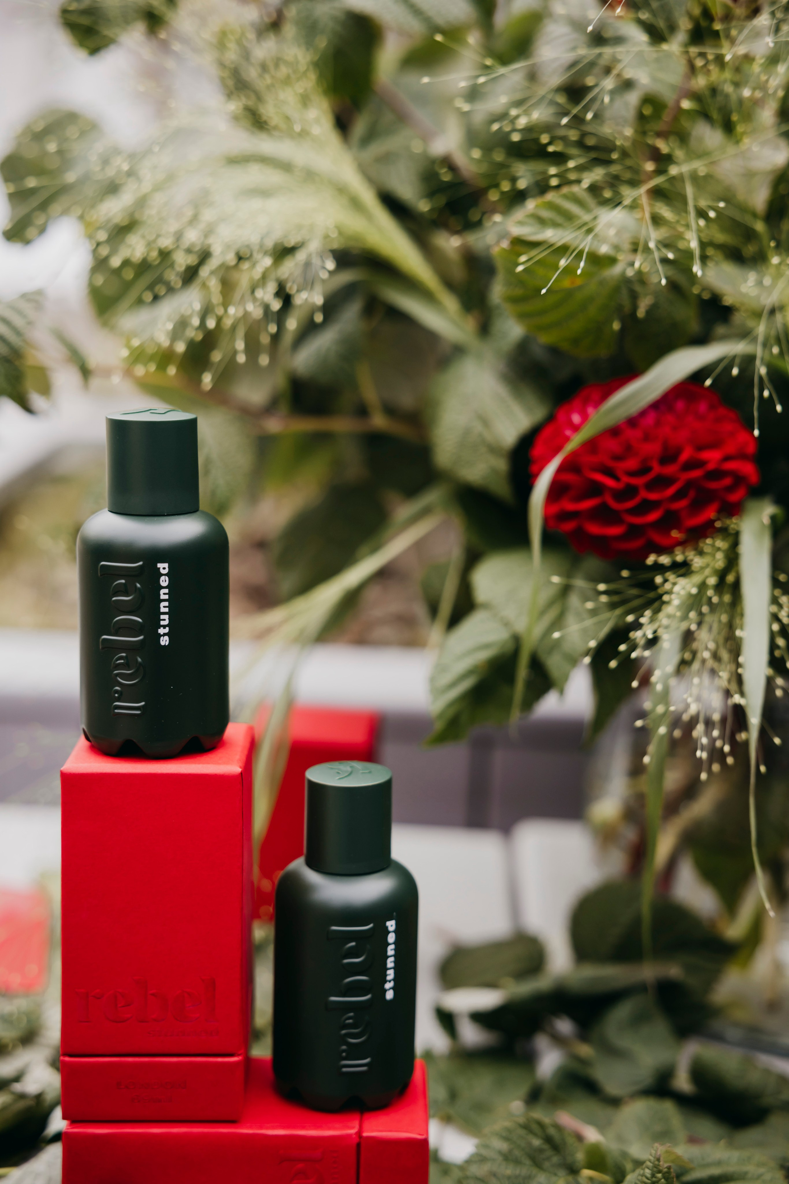 «Rebel» by «Molecule». «Птичка на проводе»: информационный портал в Москве