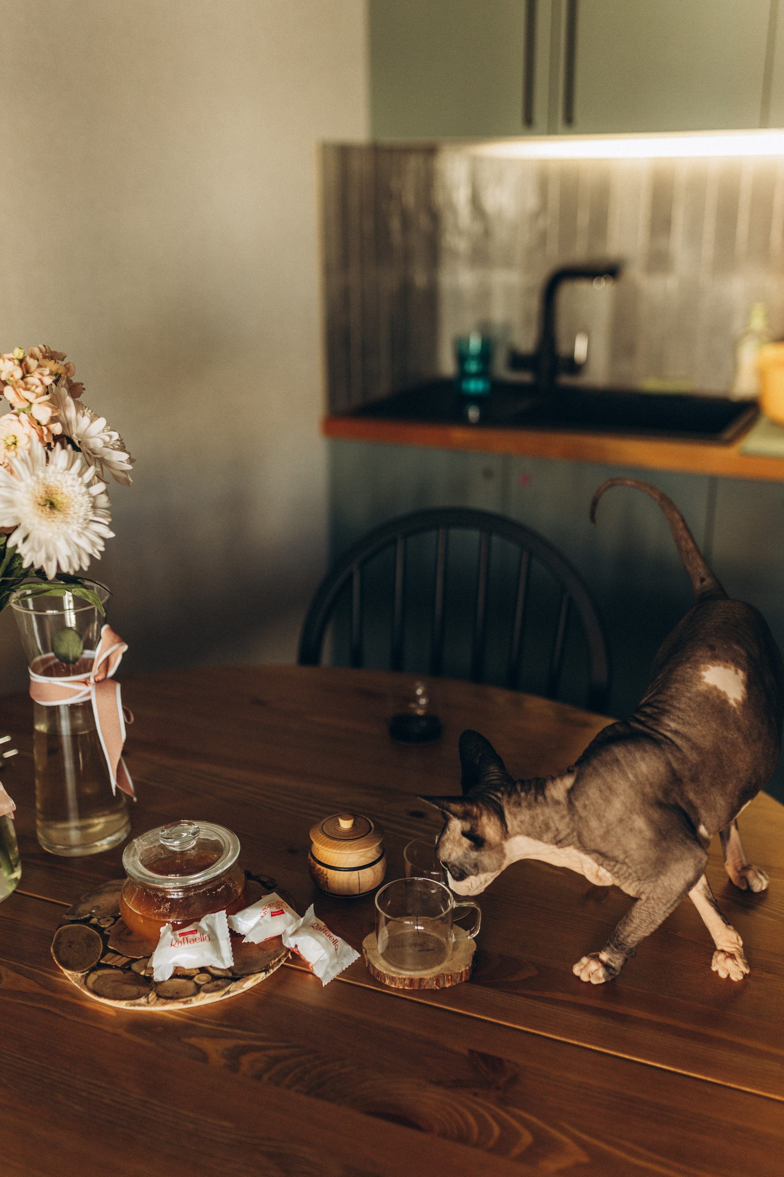 Влад Настя Матильда и Даниил. Семейный фотограф в Новороссийске и Анапе Александра Яковлева