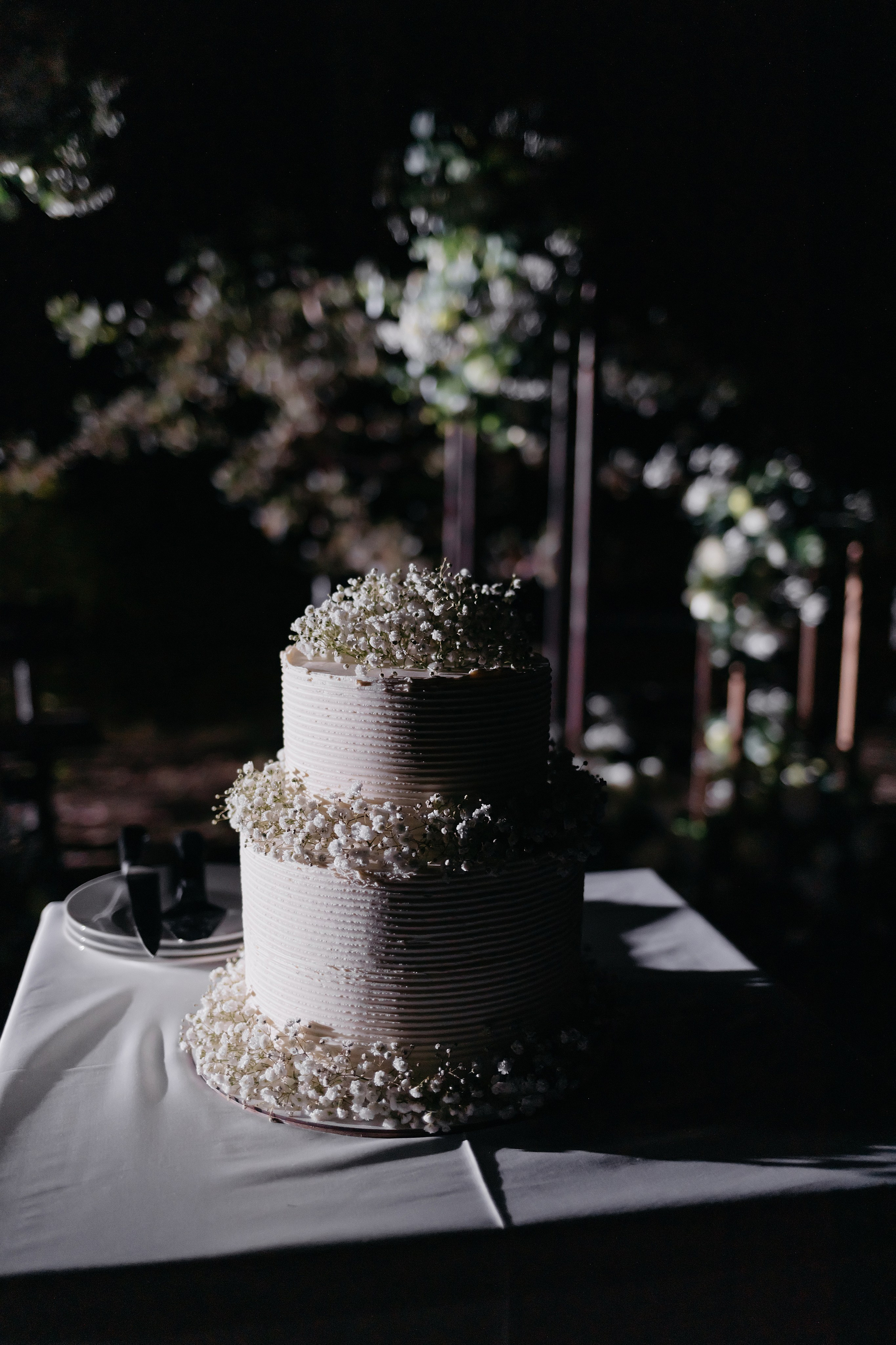 Кристина и Николай. Свадебный фотограф в Пскове и Санкт-Петербурге | Анна Голикова