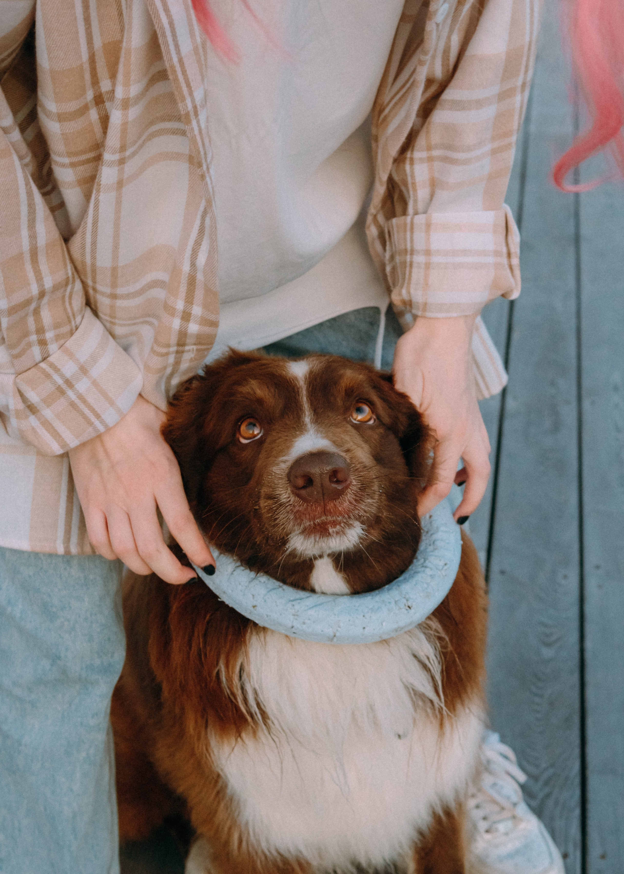 Виолетта, Лила и Питер. Фотограф-анималист Ксения Воробьева, Москва
