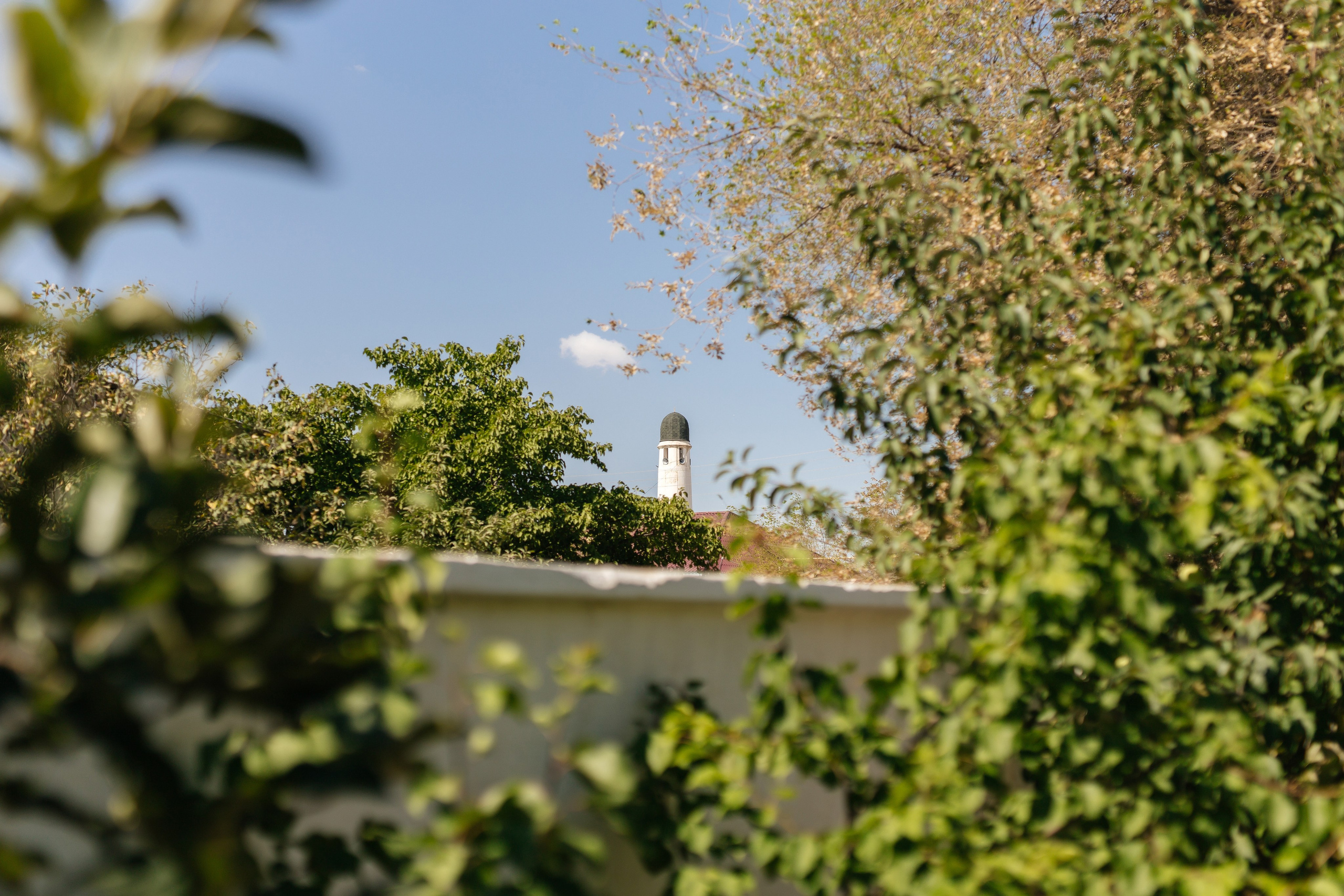 Aynur — syrğa salu. Wedding and Love story Photographer