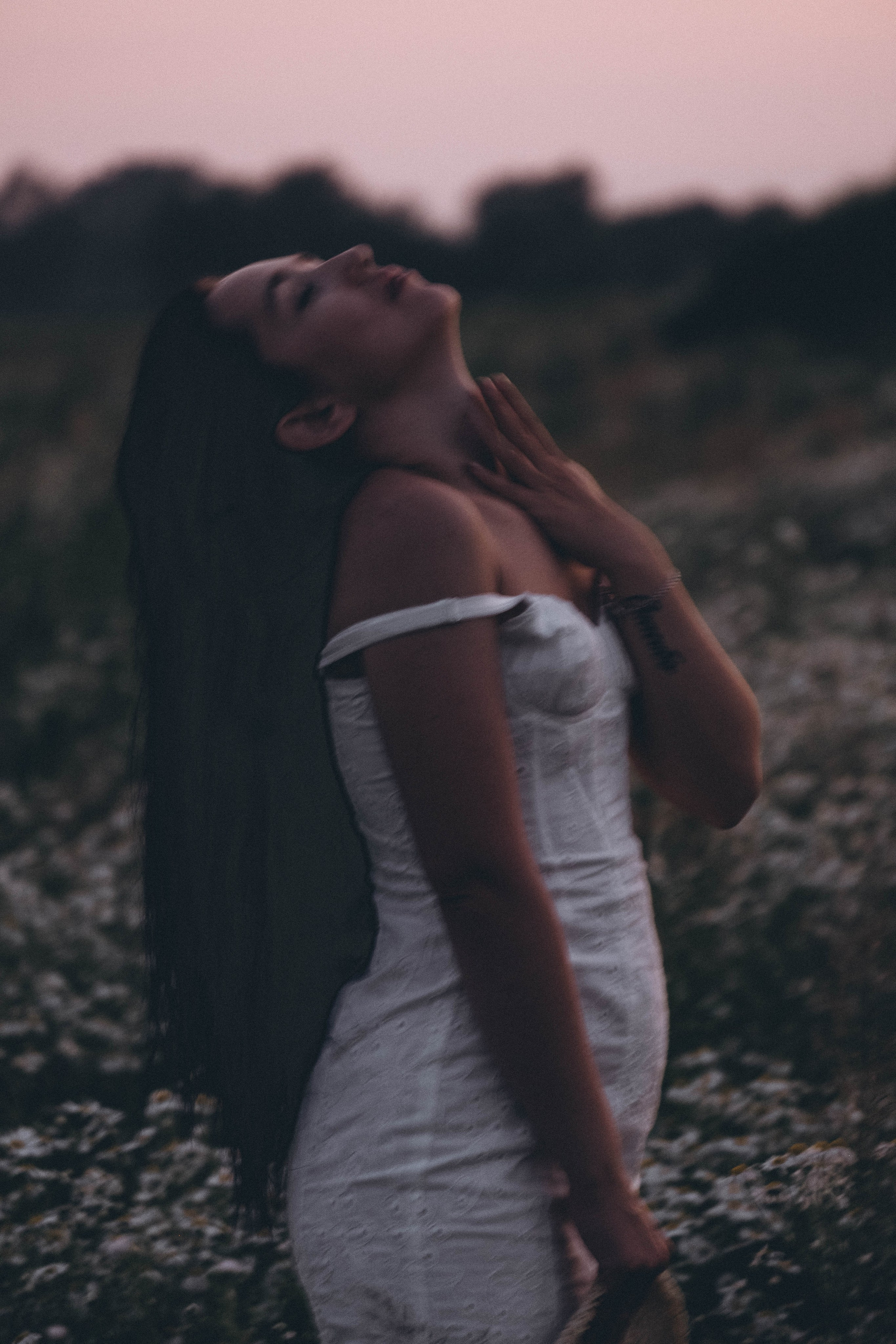 Ромашковое поле. Профессиональный фотограф, Санкт-Петербург — Виктория Богомолова