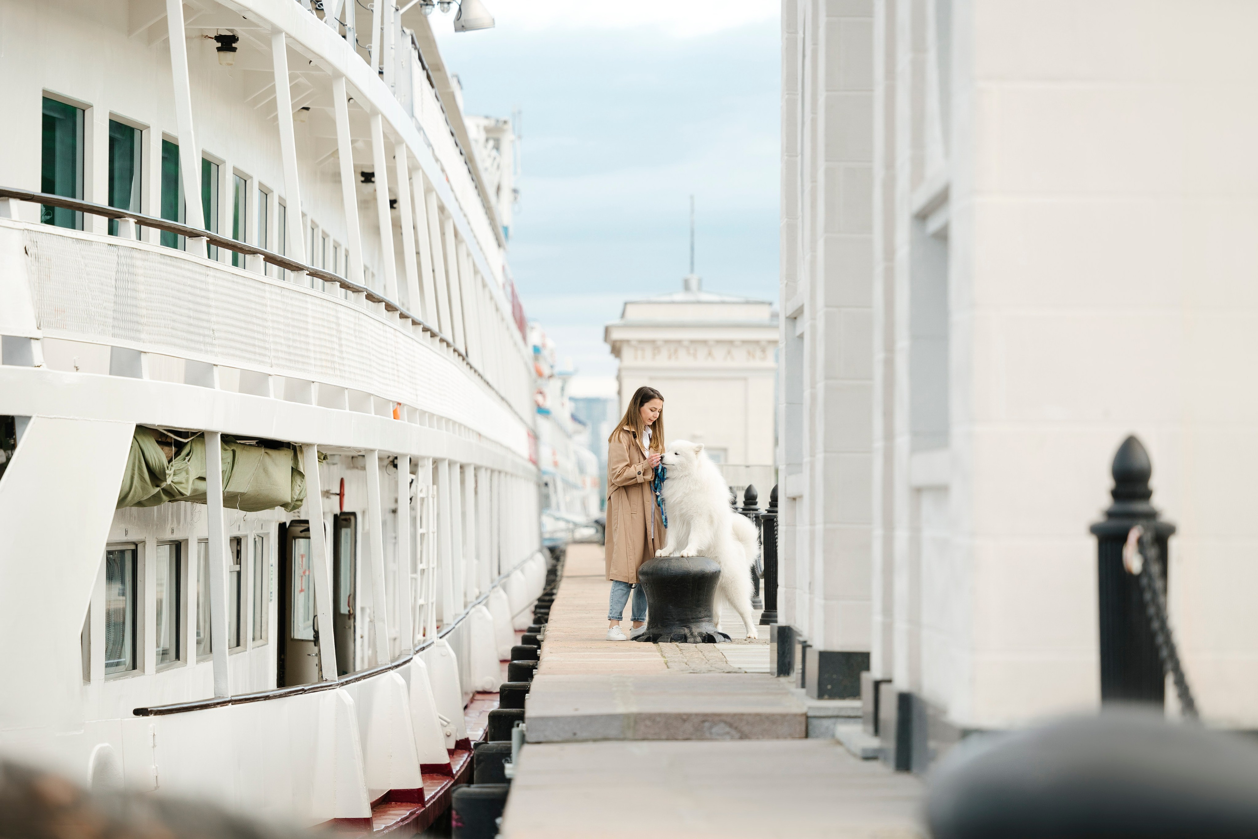 Ната, Панти, Речной Вокзал. Фотограф анималист в Москве Майорова Евгения
