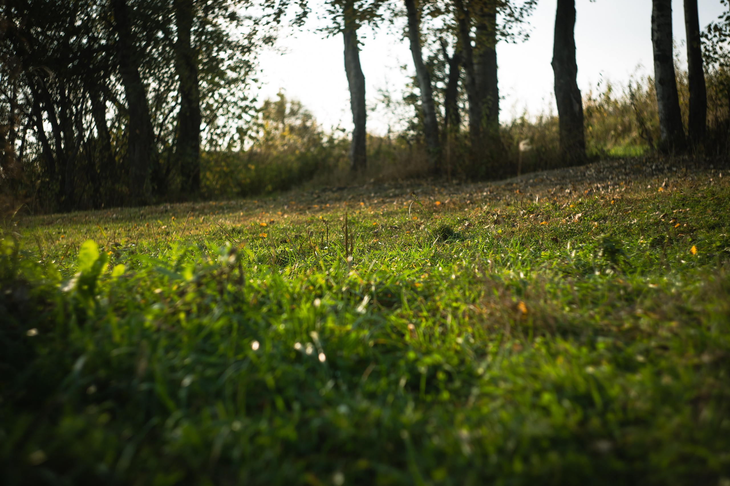 Сентябрь 2023. Efremovaphoto.ru