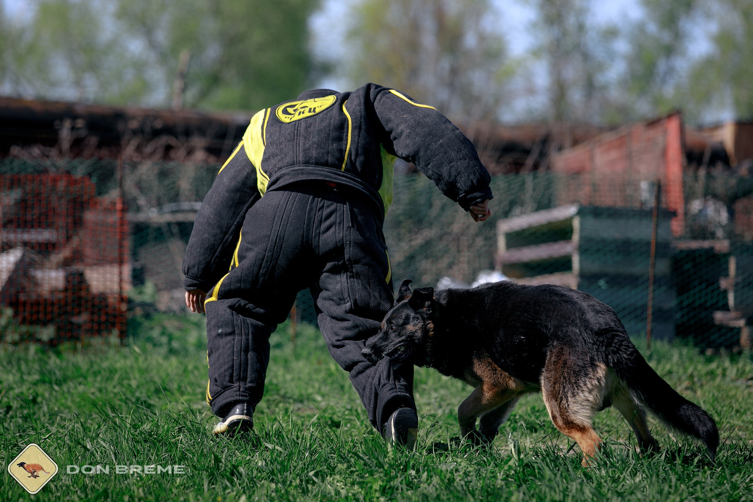 Семинар для фигурантов, день 3. Фотограф-анималист Mary Mart — Москва, Питер