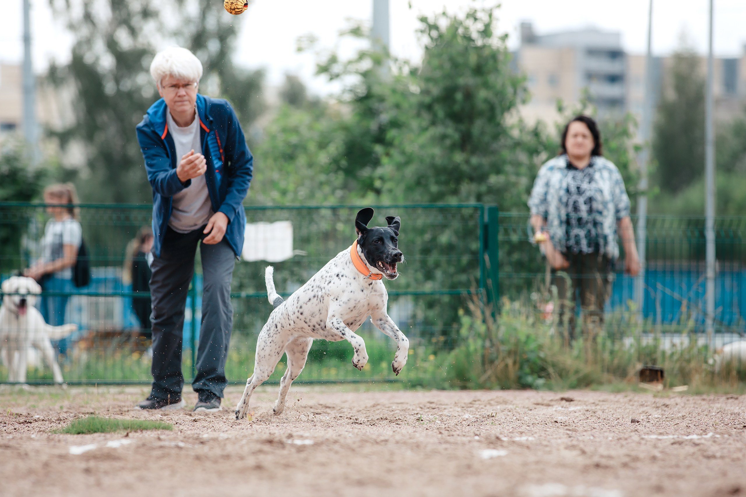 Питч&Гоу + веселые старты. Фотограф-анималист Mary Mart — Москва, Питер