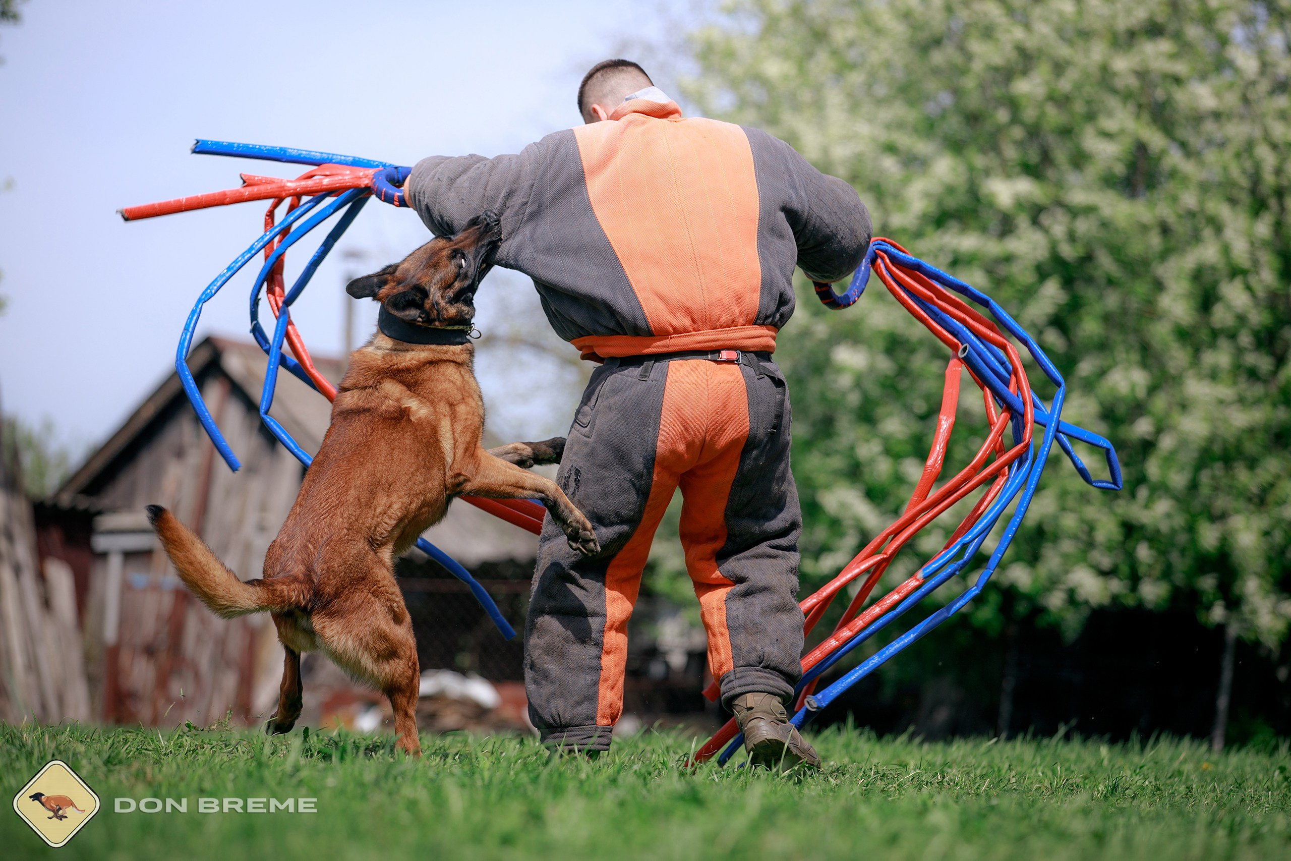 Семинар для фигурантов, день 4. Фотограф-анималист Mary Mart — Москва, Питер