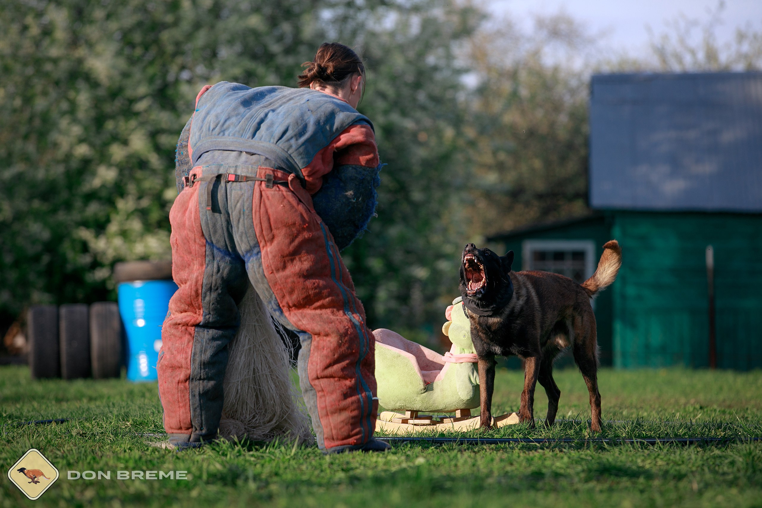 Семинар для фигурантов, день 4. Фотограф-анималист Mary Mart — Москва, Питер