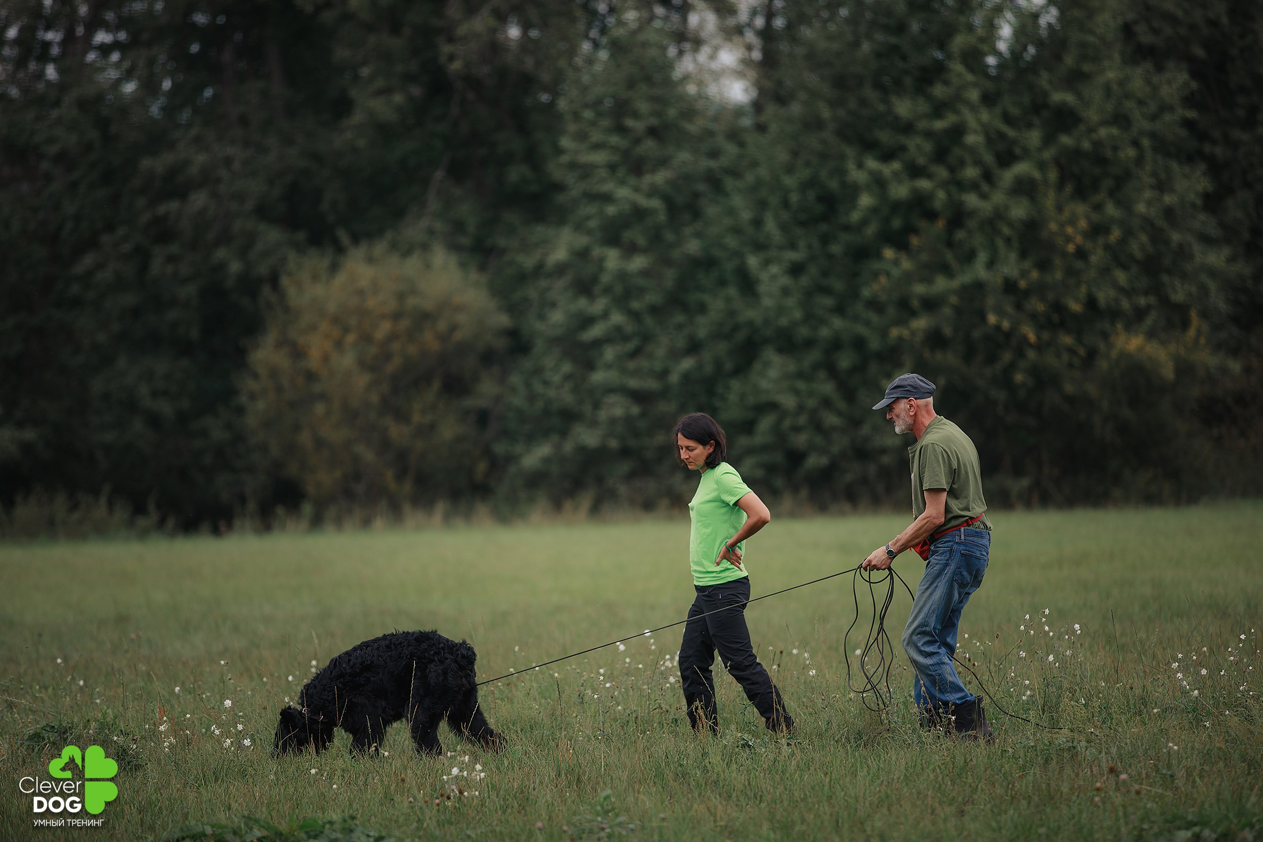 Кинологический лагерь CleverDog, 2024. Фотограф-анималист Mary Mart — Москва, Питер