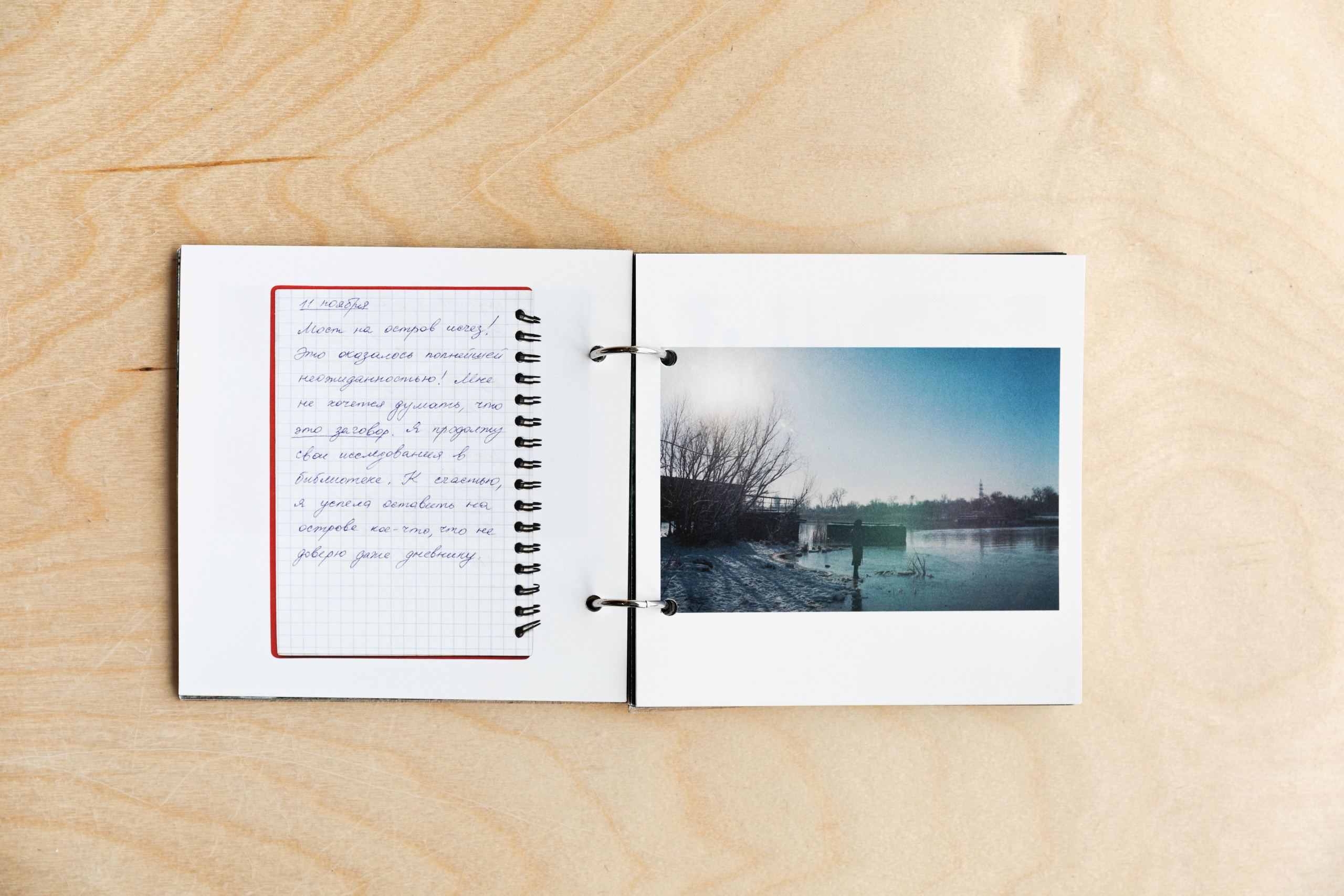 Beetlemania. Лера Круглова